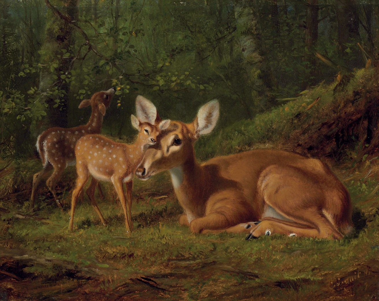 Arthur Fitzwilliam Tait (1819-1905)