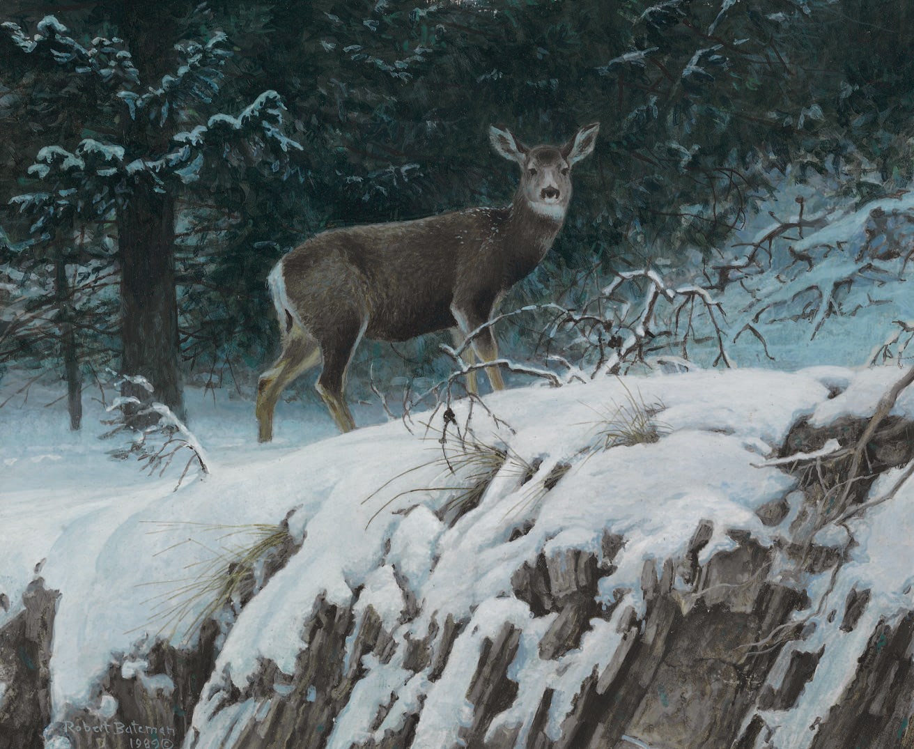 Robert Bateman (b. 1930)