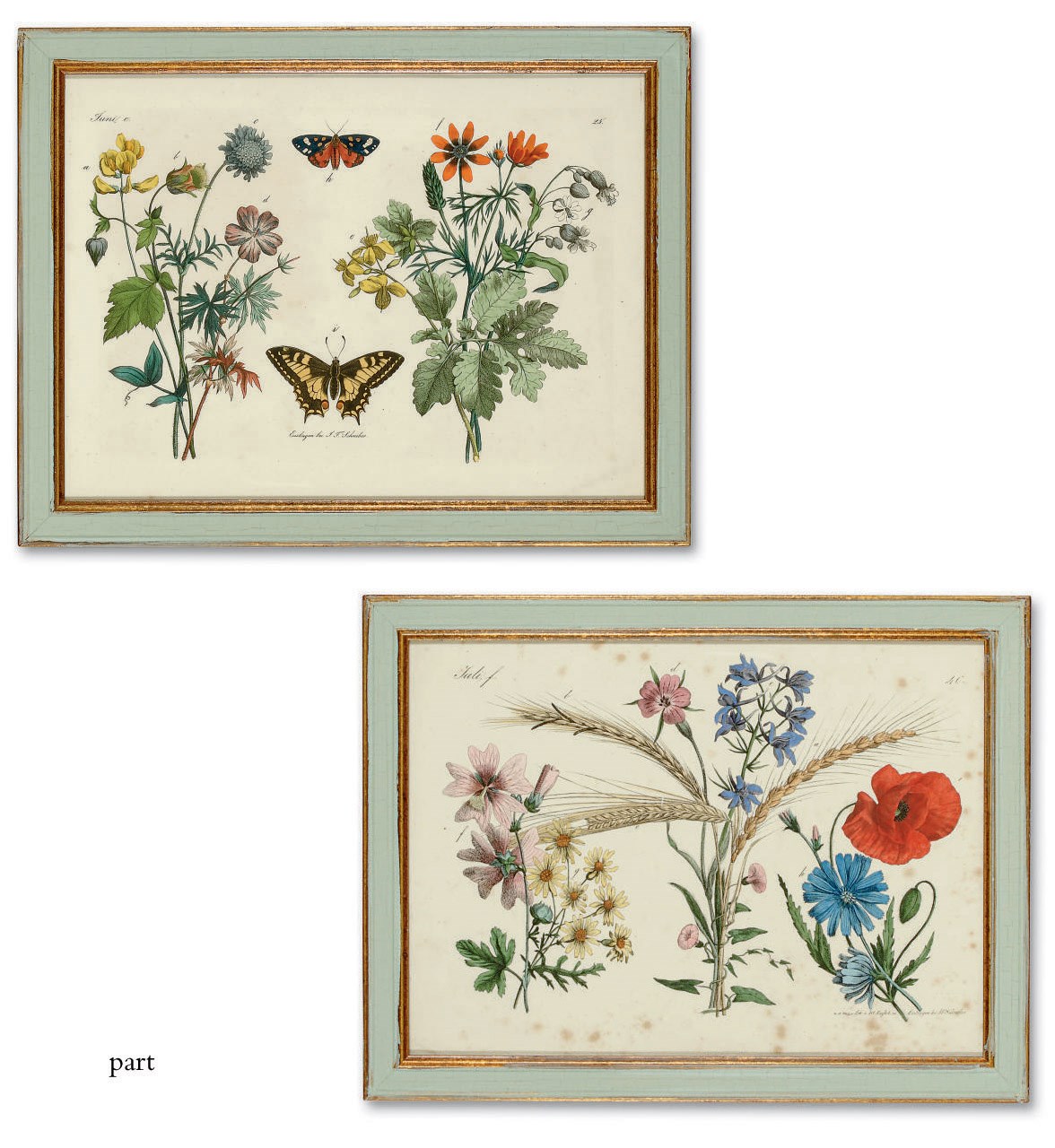 TWELVE GERMAN COLOURED LITHOGRAPH PRINTS OF ENGLISH FLOWERS