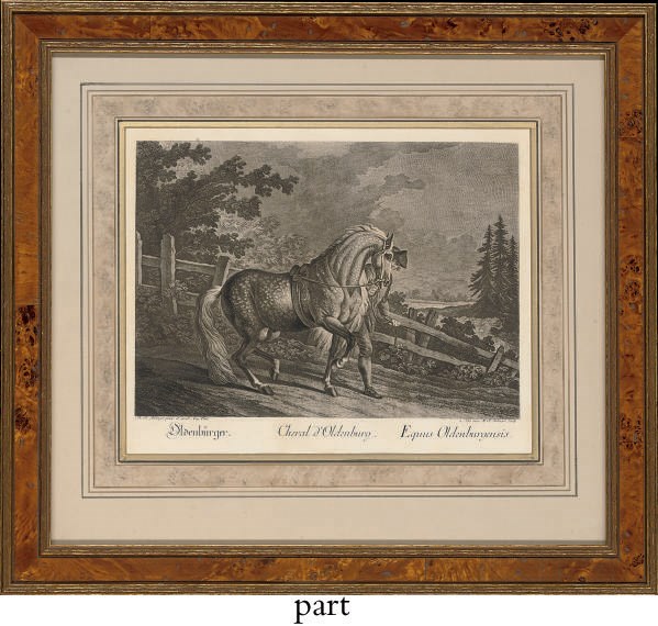 After Johann Elias Ridinger