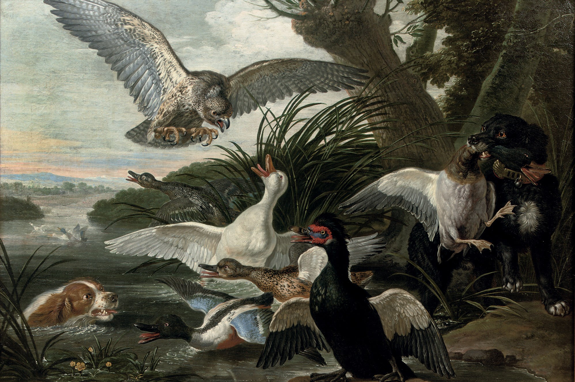 David de Coninck (Antwerp c.1644-after 1701 Brussels)