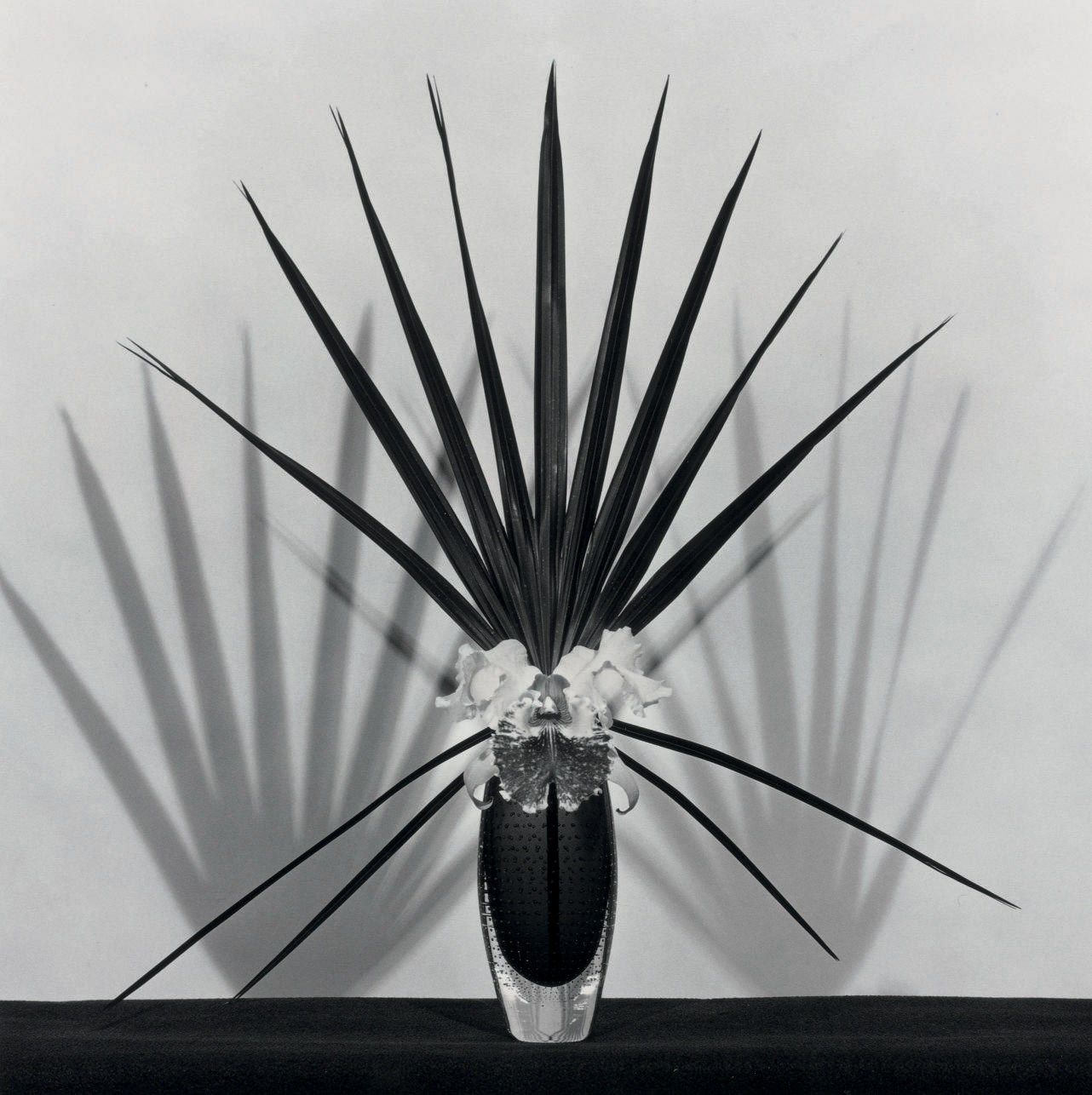 ROBERT MAPPLETHORPE (1946-1989)