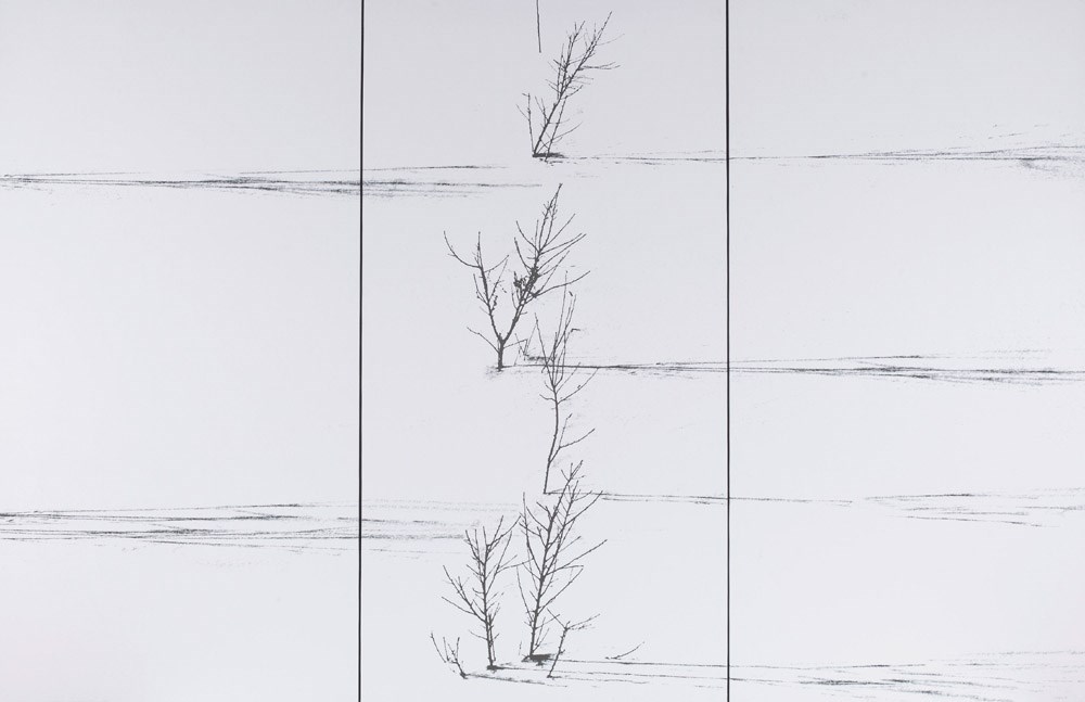 Abbas Kiarostami (Iranian, b. 1940)