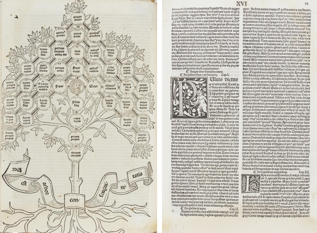 INCUNABULA -- ISIDORUS HISPALENSIS (d.636). Ethymologiae. De summo bono. Venice: Bonetus Locatellus for Octavius Scotus. 11 December 1493.  Small 2° (280 x 200mm). 100 leaves, 66 lines and headline, types 130 G., 74 G., and 80 Gk., double columns, full-page woodcut of the consanguinity on ff5v, small woodcut diagrams and symbols, woodcut initials, mostly ornamental, a few historiated, printer's device at end (full-page woodcut shaved at margins, lower margin of title repaired, worming in inner margin and gutter throughout, mostly repaired, light, mainly marginal waterstaining, a few stains). Later vellum (new endpapers, lightly soiled and rubbed). Provenance: old marginal annotations (some shaved). BMC V 442; Hain *9280; Sander 3527; Goff I186.