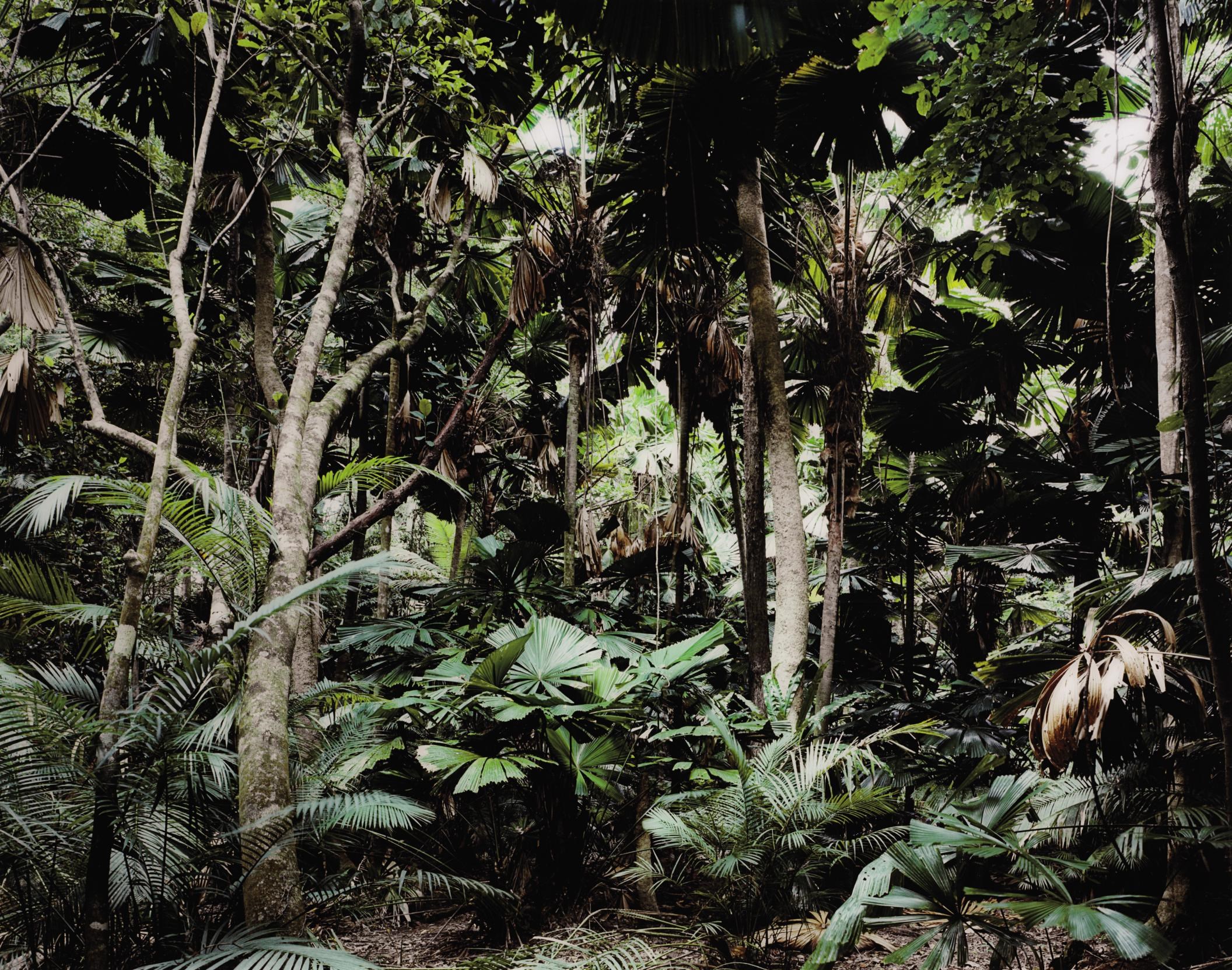 Thomas Struth (B. 1954)