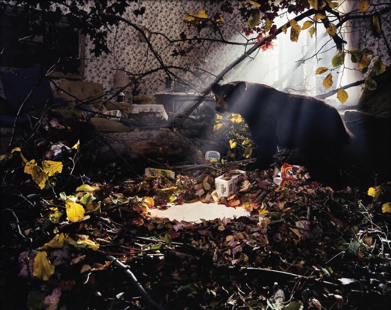 Gregory Crewdson (b. 1962)