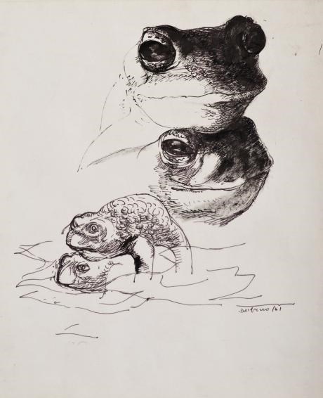 LEONARDO DELFINO (NE EN 1928)