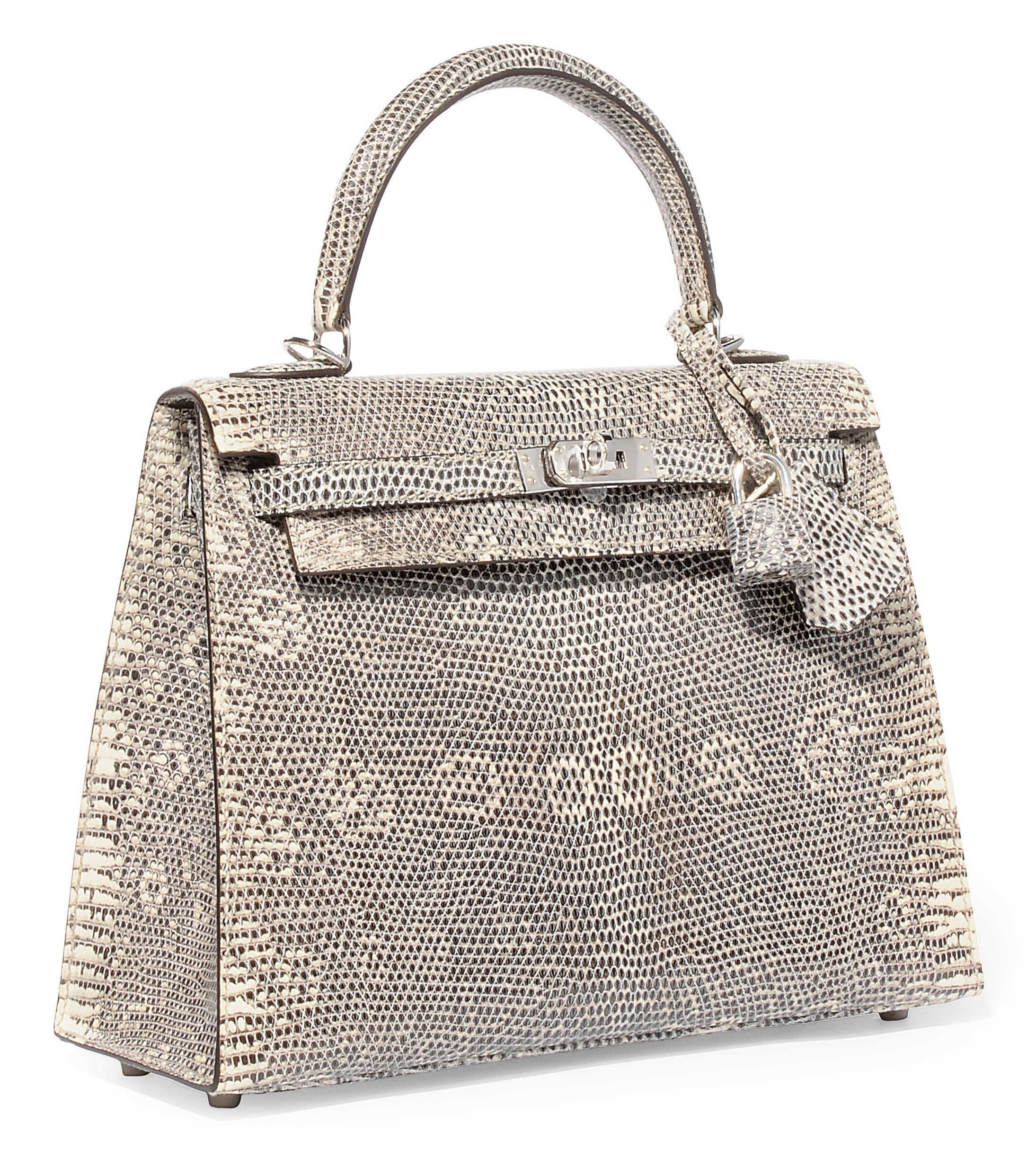 AN OMBRE LIZARD 'KELLY' BAG