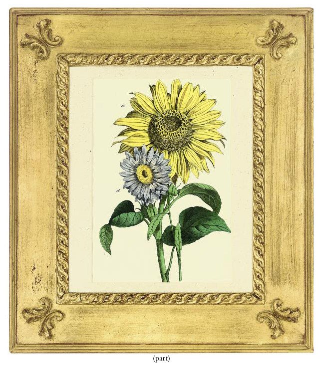 Charlotte Mary Yonge (1823-1901)