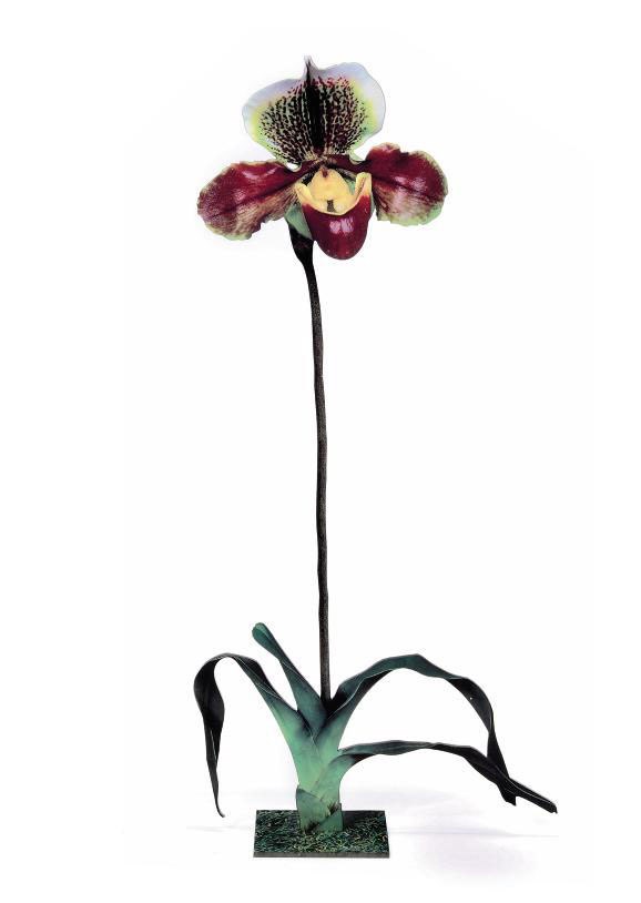 Marc Quinn (b. 1964)