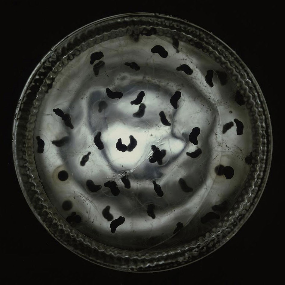 SUSAN DERGES (B. 1955)