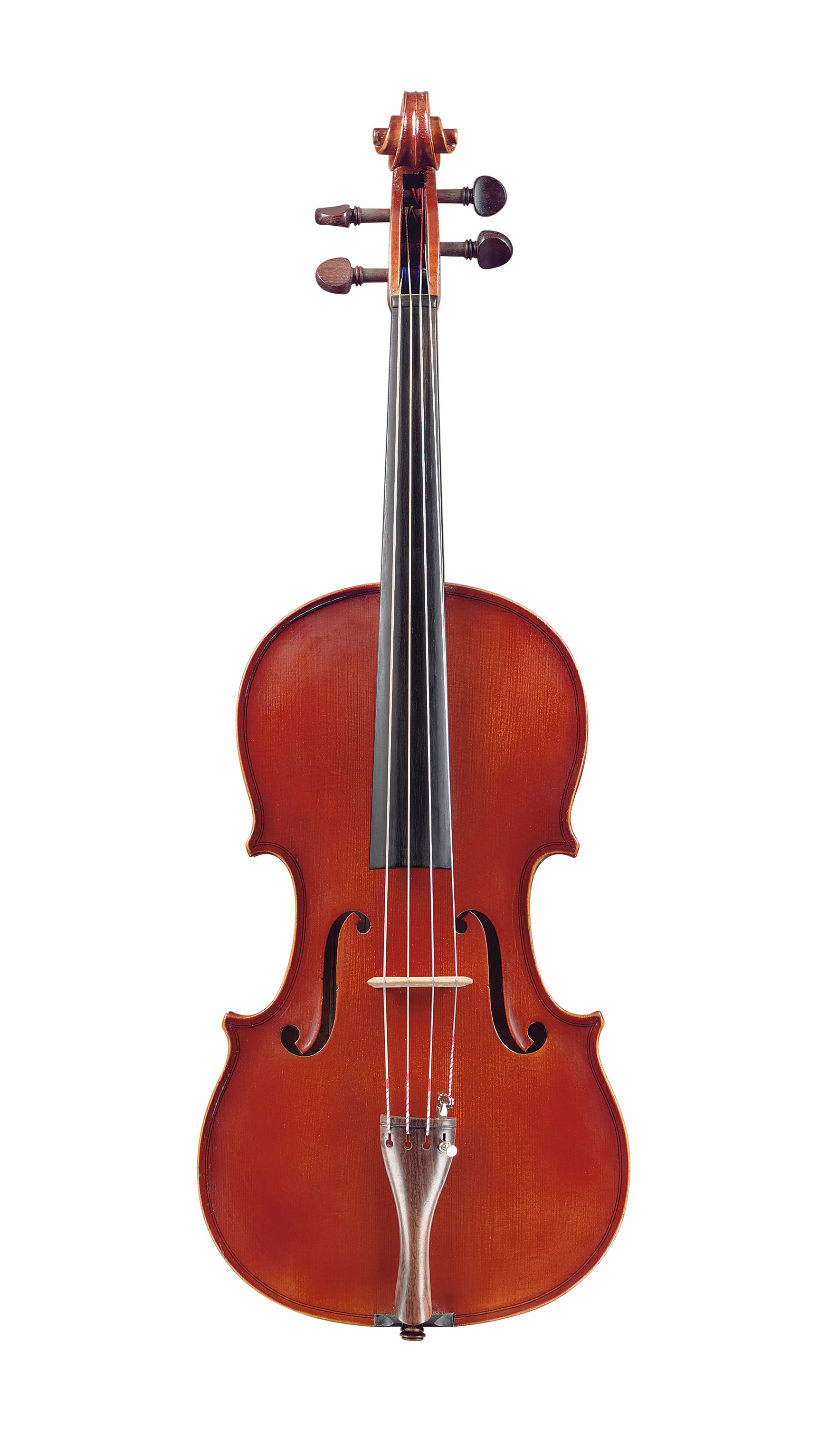 A VIOLA