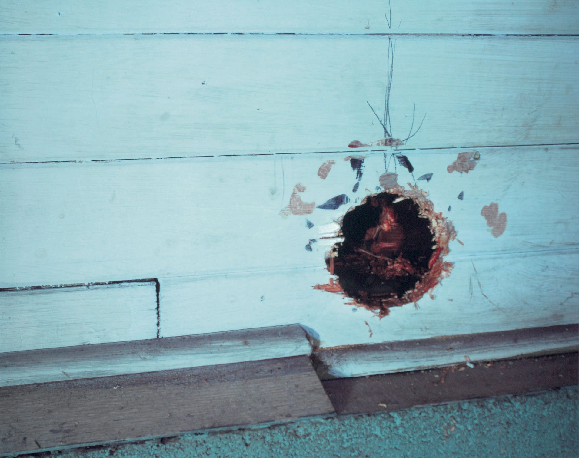 JEFF WALL (B. 1946)