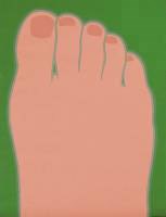 Tom Wesselmann (1931-2004)