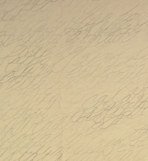 Ann Hamilton (b. 1956)
