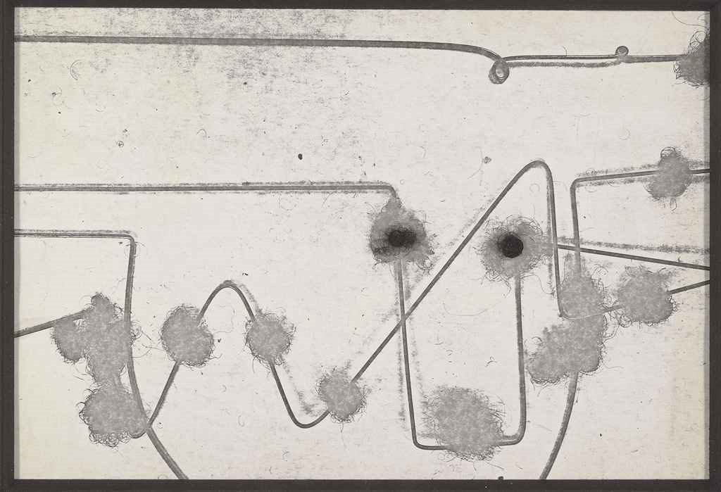 David Hammons (b. 1942)