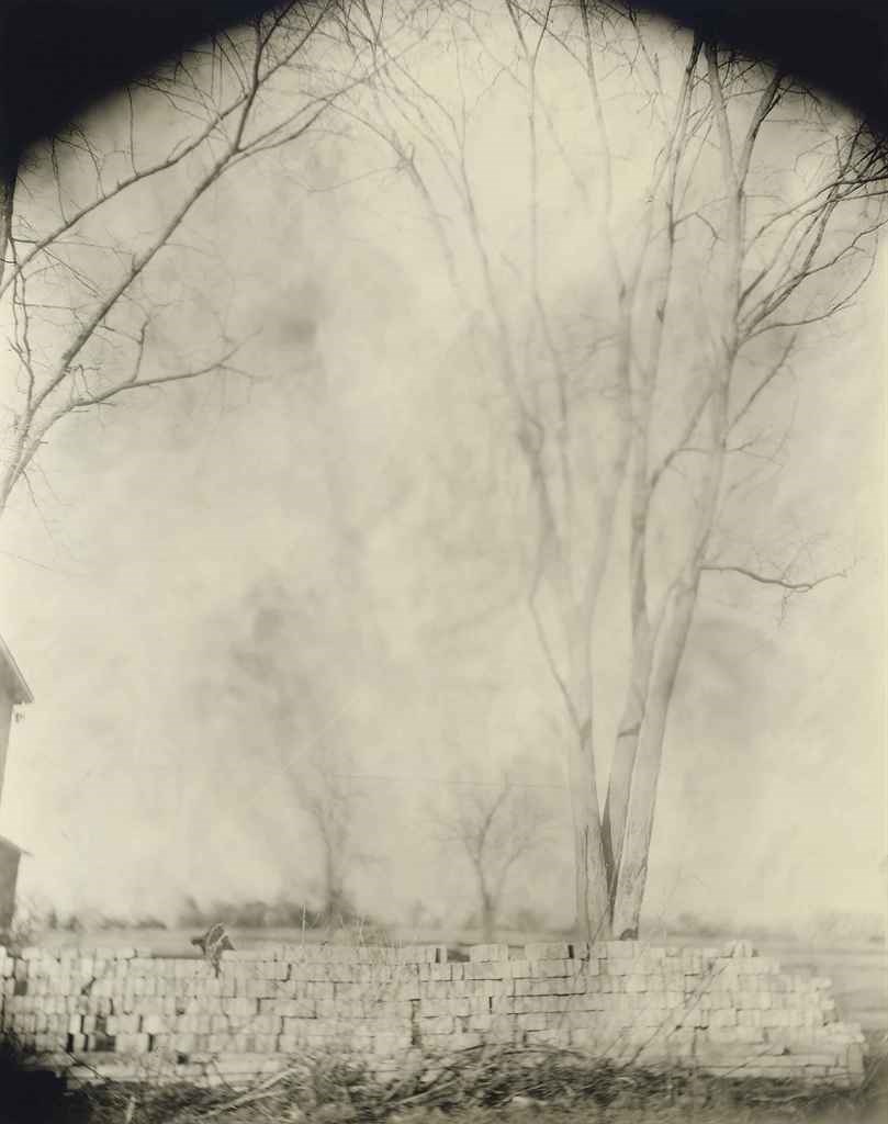 SALLY MANN (B. 1951)