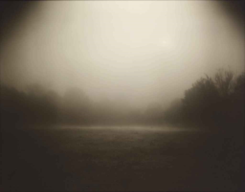 SALLY MANN (B. 1951)