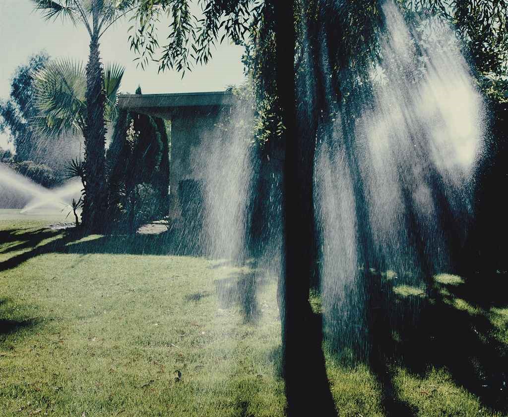 LARRY SULTAN (1946-2009)
