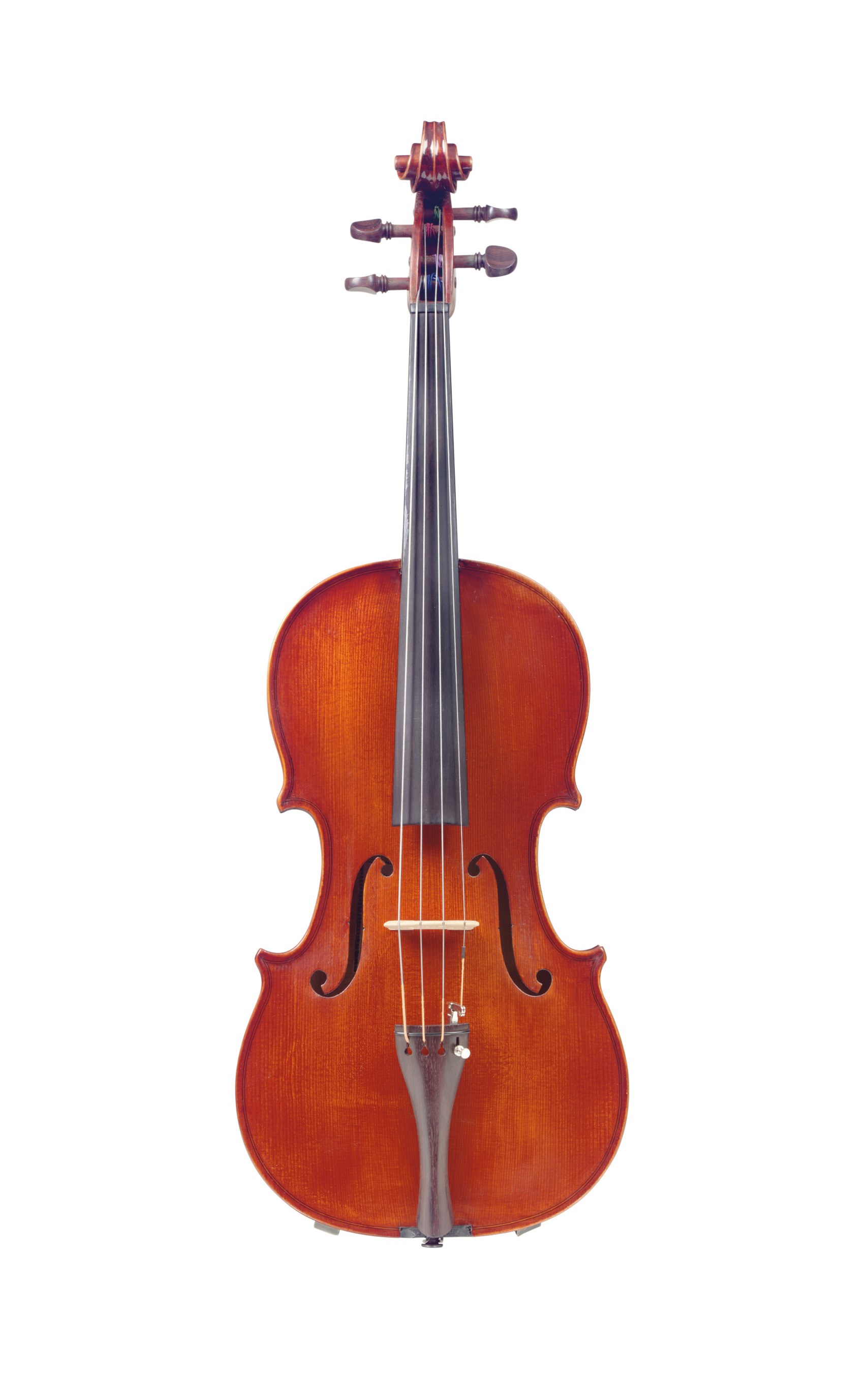 A VIOLA