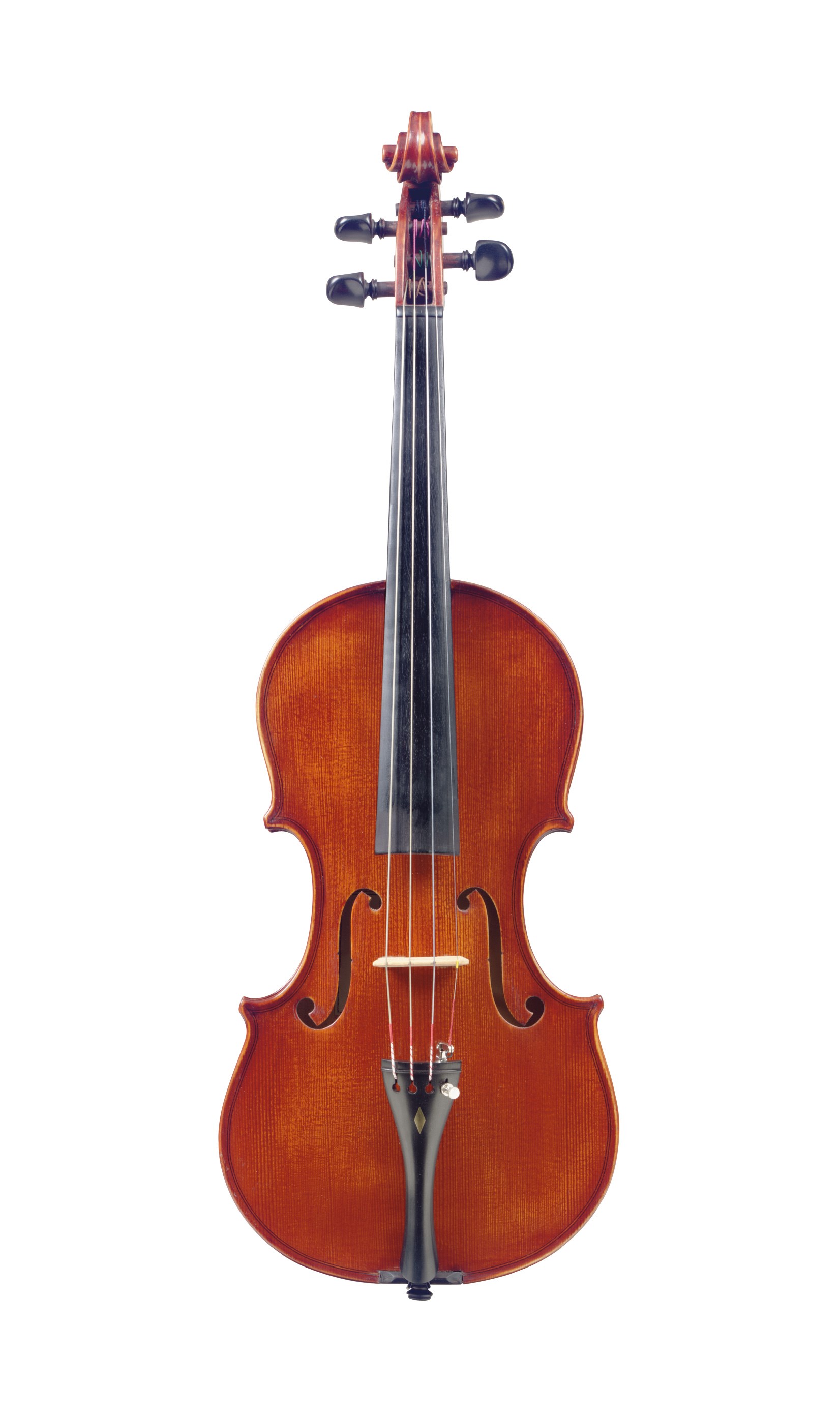 A VIOLIN