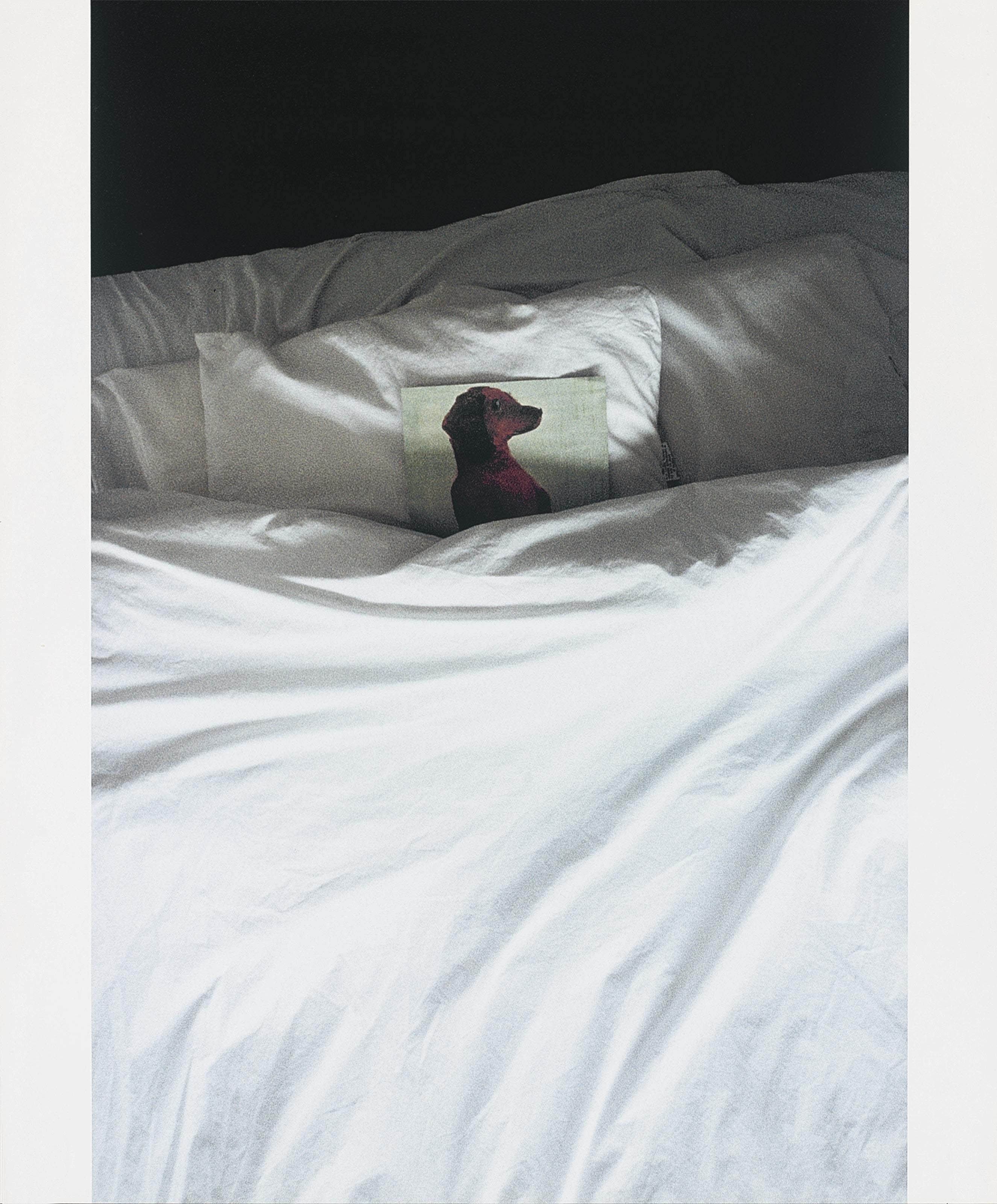 WOLFGANG TILLMANS (B. 1968)