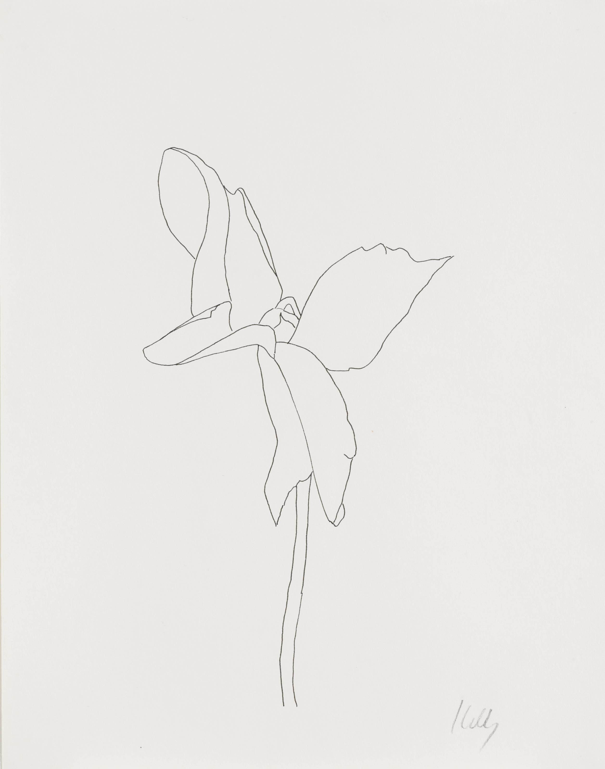 Ellsworth Kelly (b. 1923)