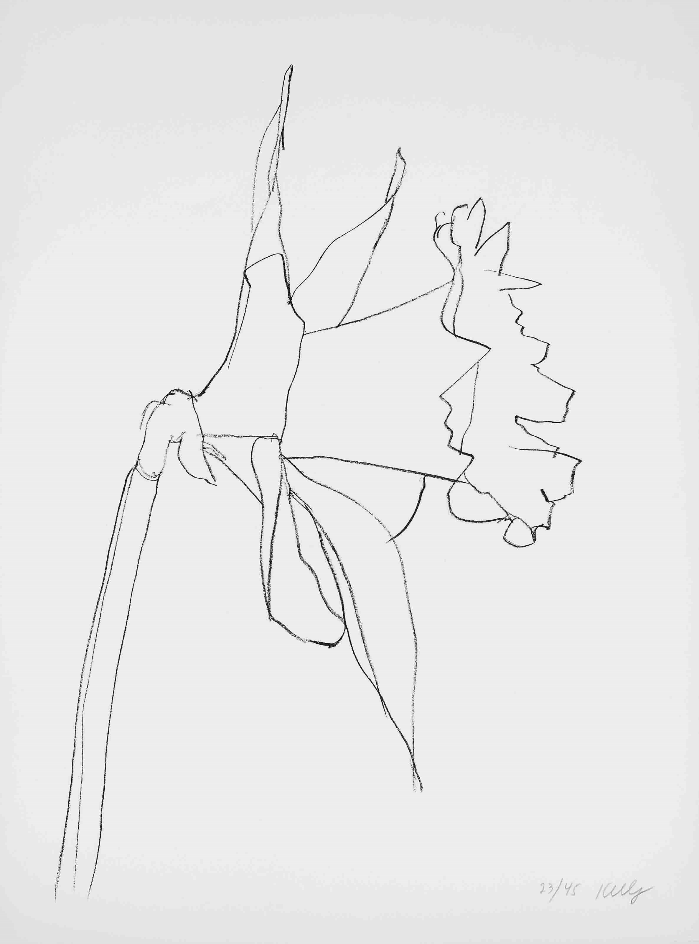 ELLSWORTH KELLY