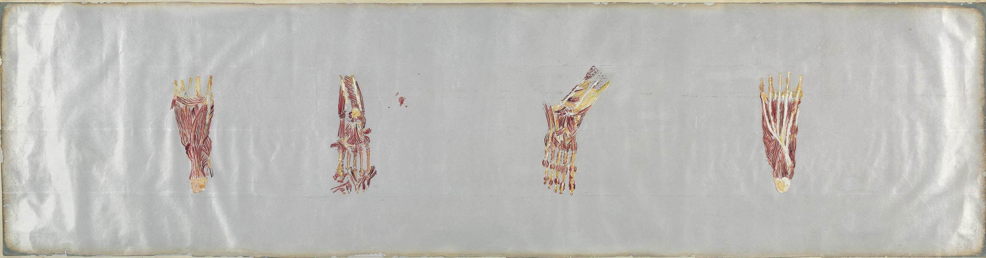 Kiki Smith (b. 1954)