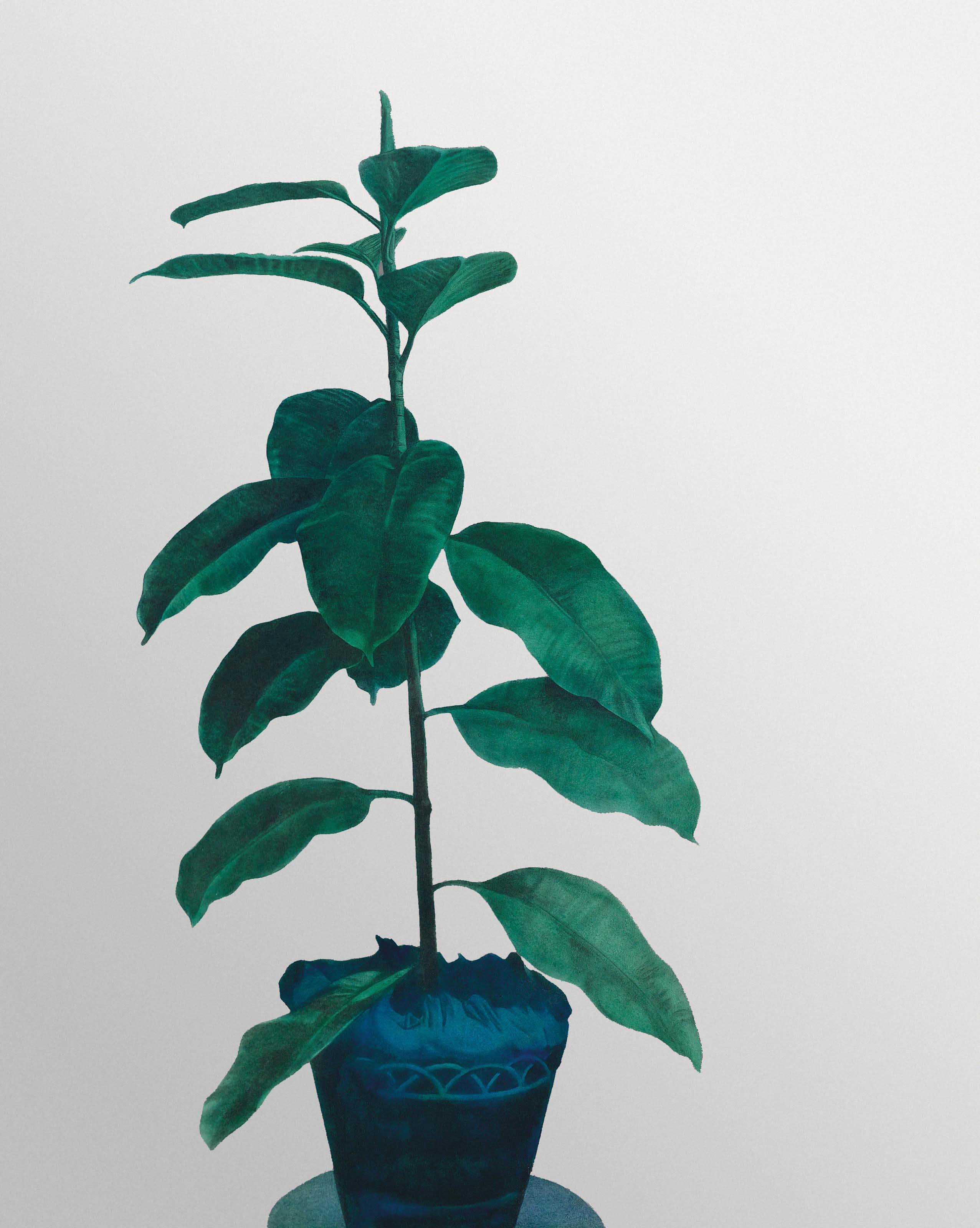 Michelangelo Pistoletto (N. 1933)