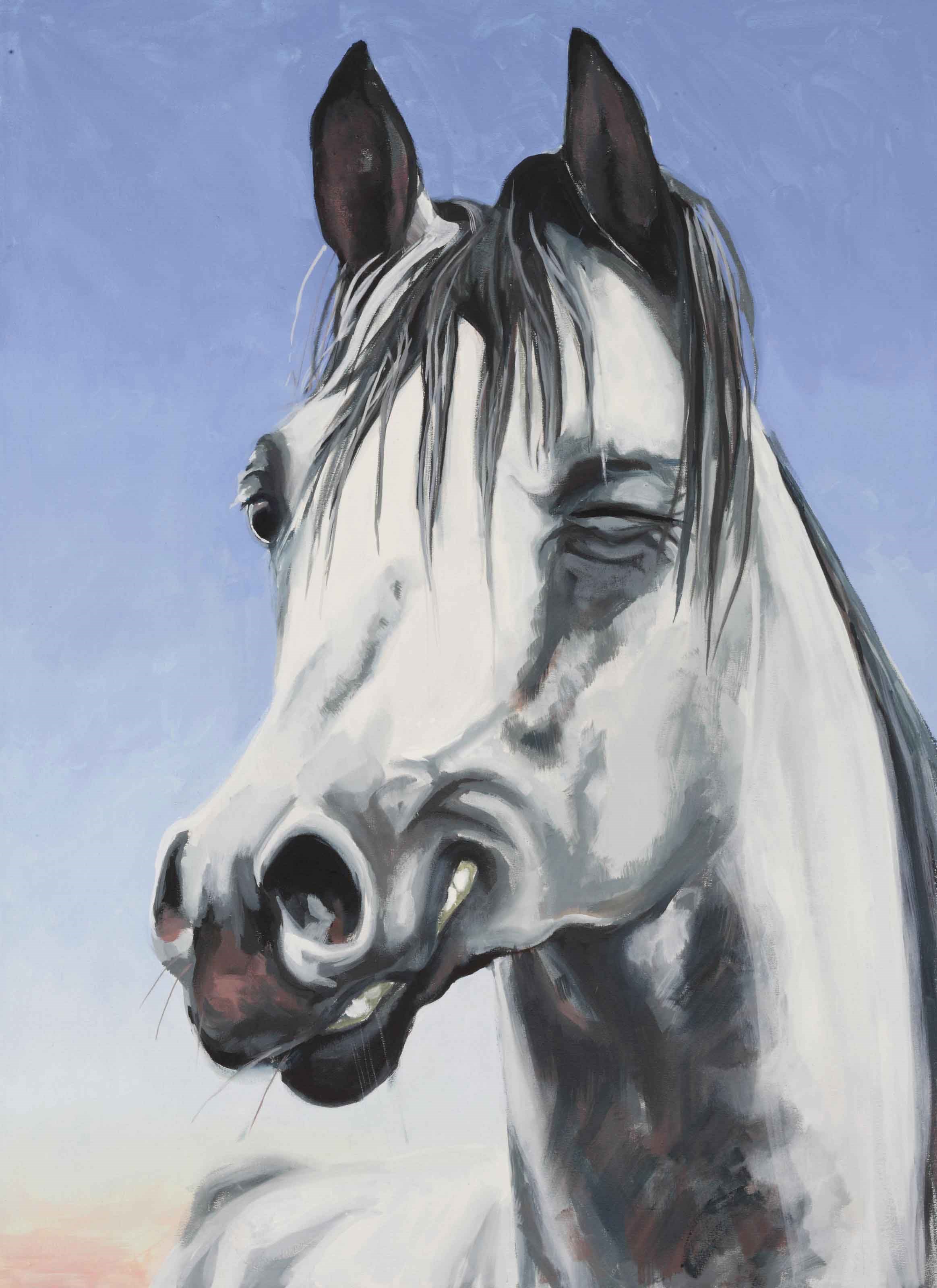 Zbigniew Rogalski (b. 1974)