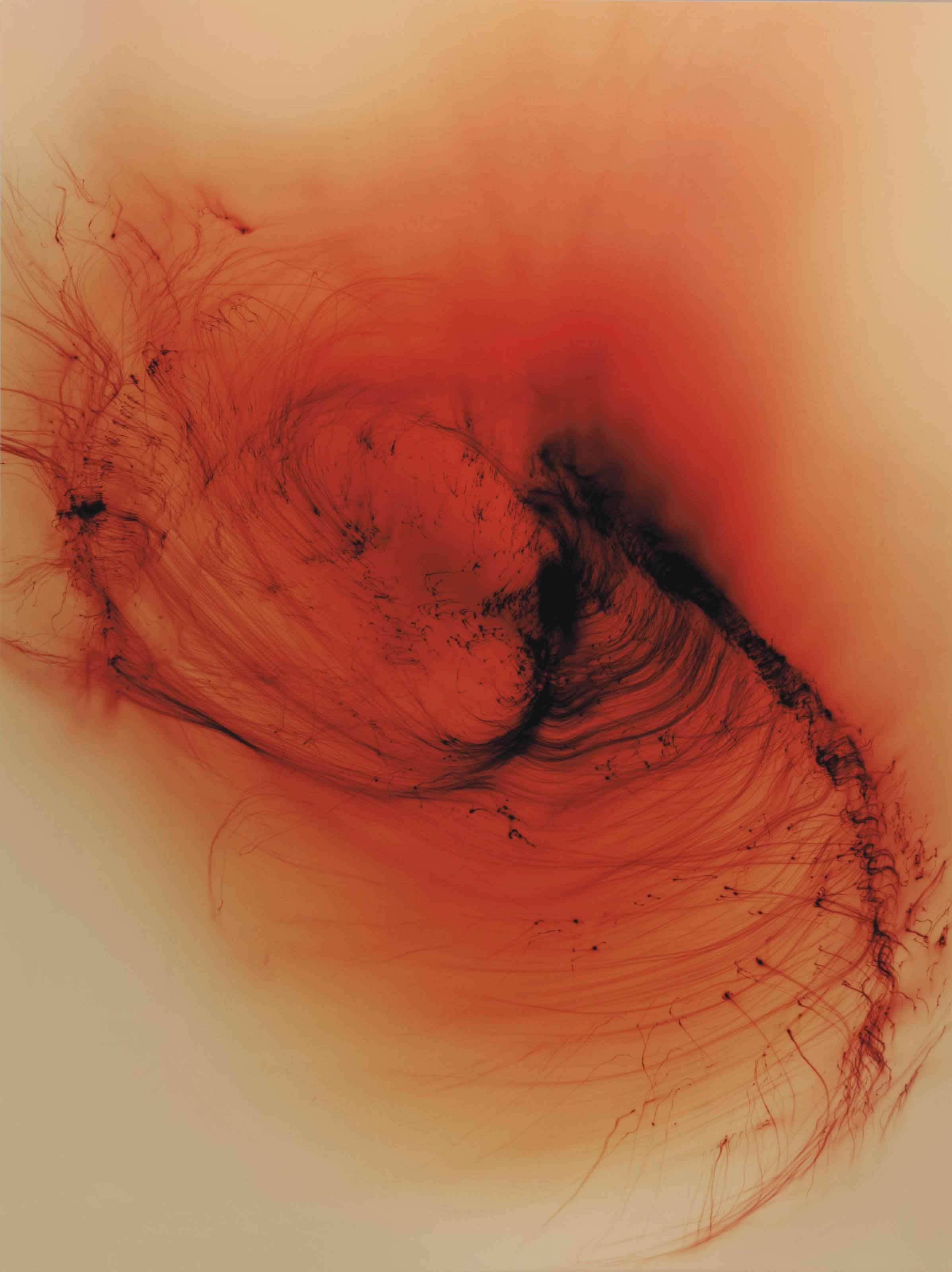 Wolfgang Tillmans (b. 1968)
