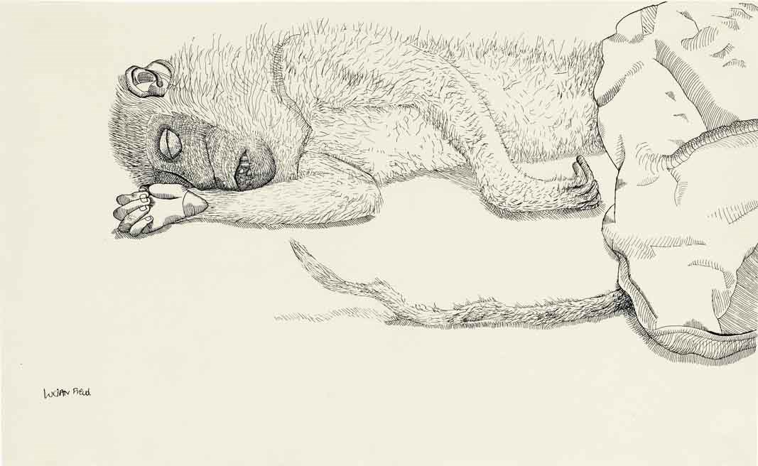 Lucian Freud (b. 1922)