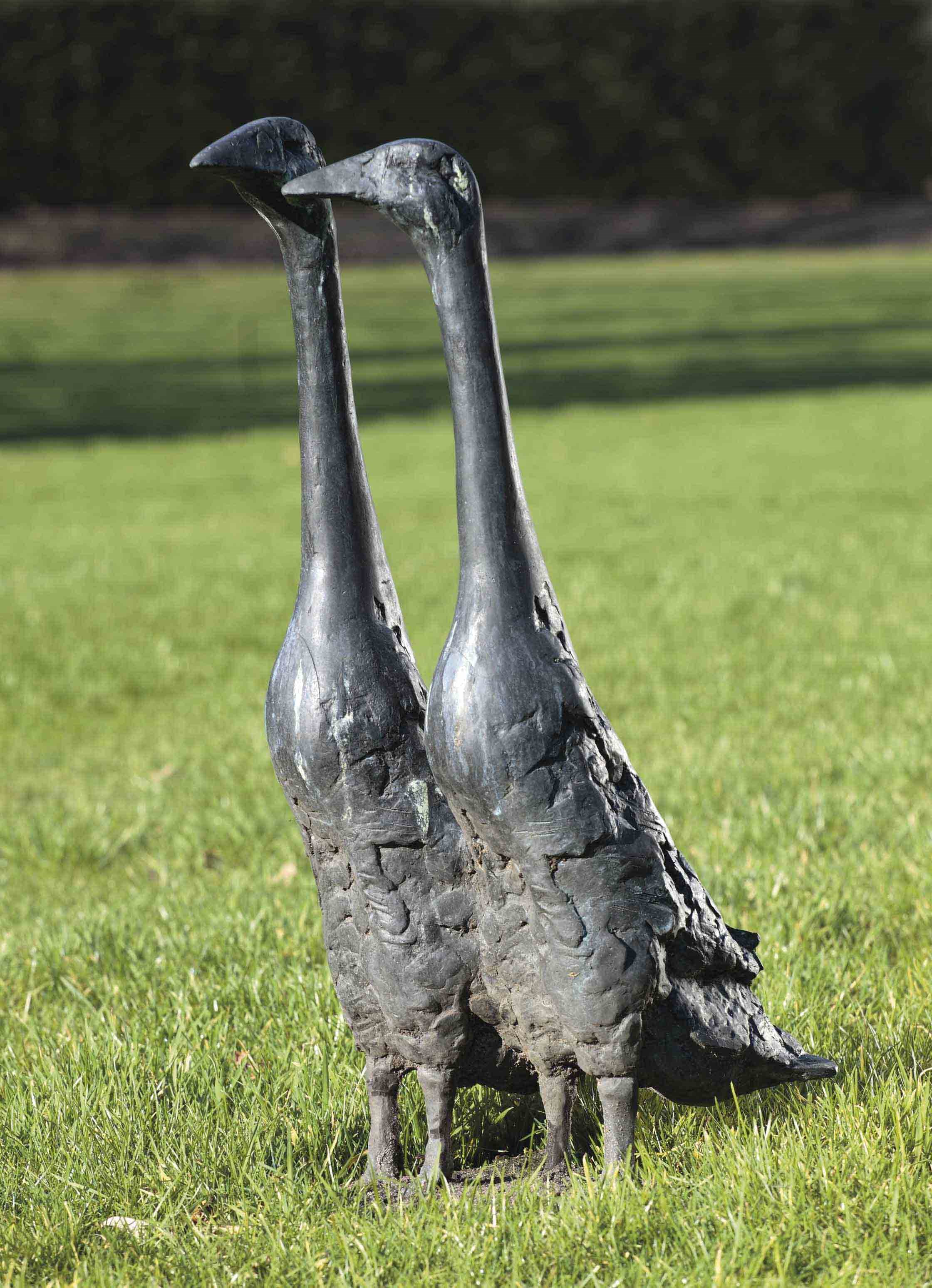 Coba Koster (b.1951)