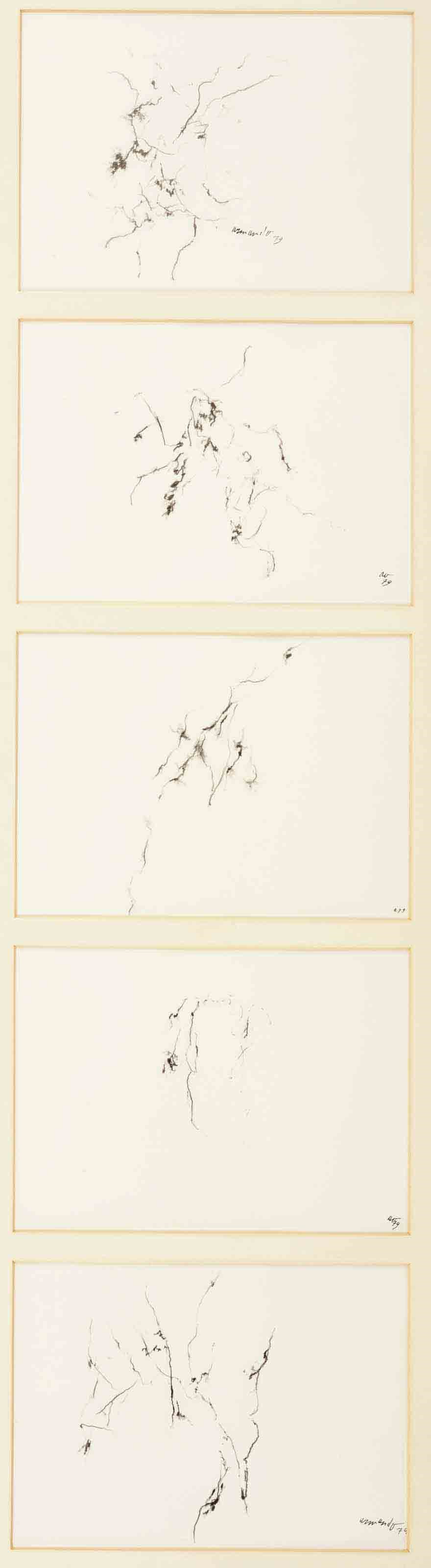 Armando (b. 1929)