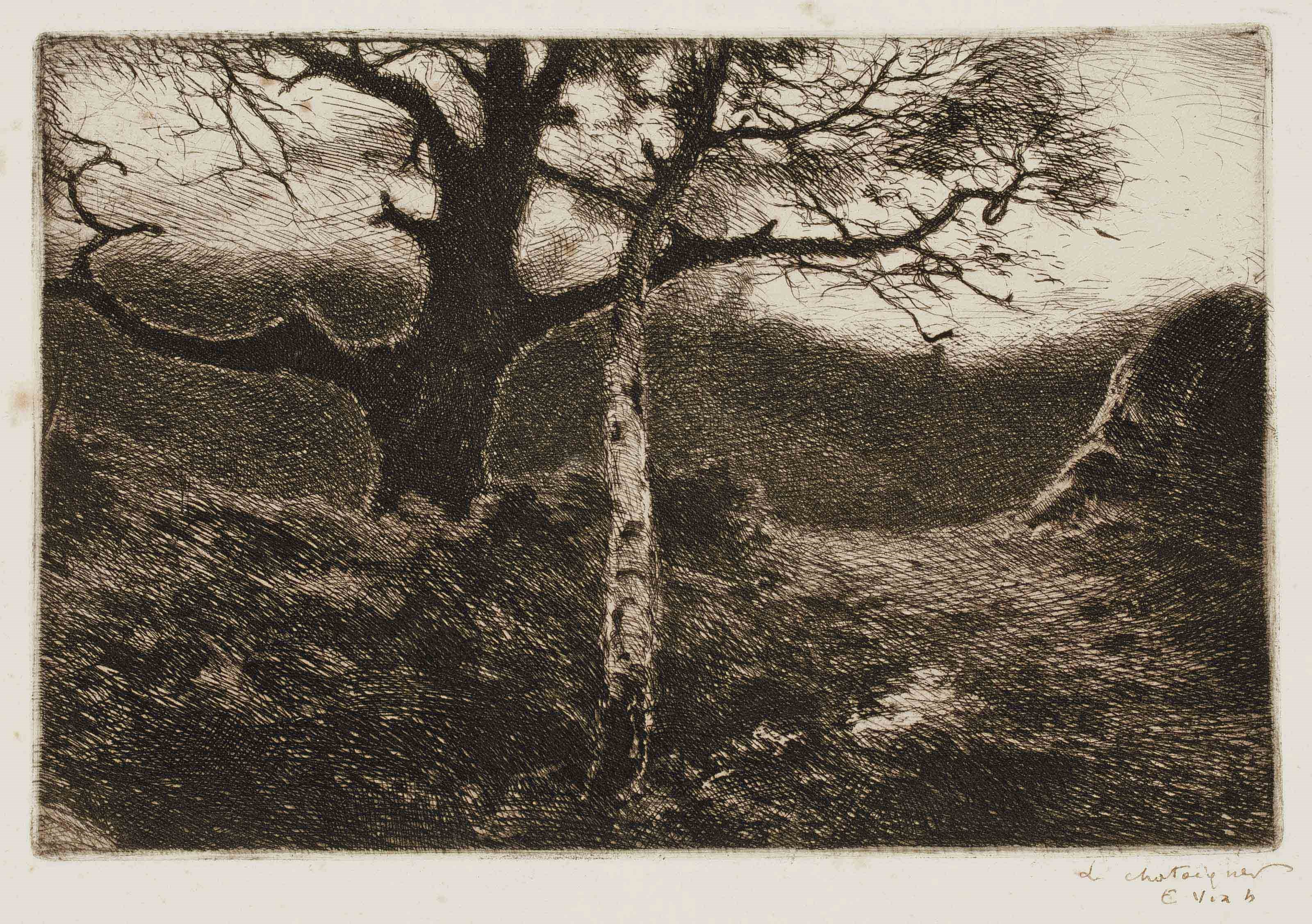 EUGENE VIALA (1859-1913)