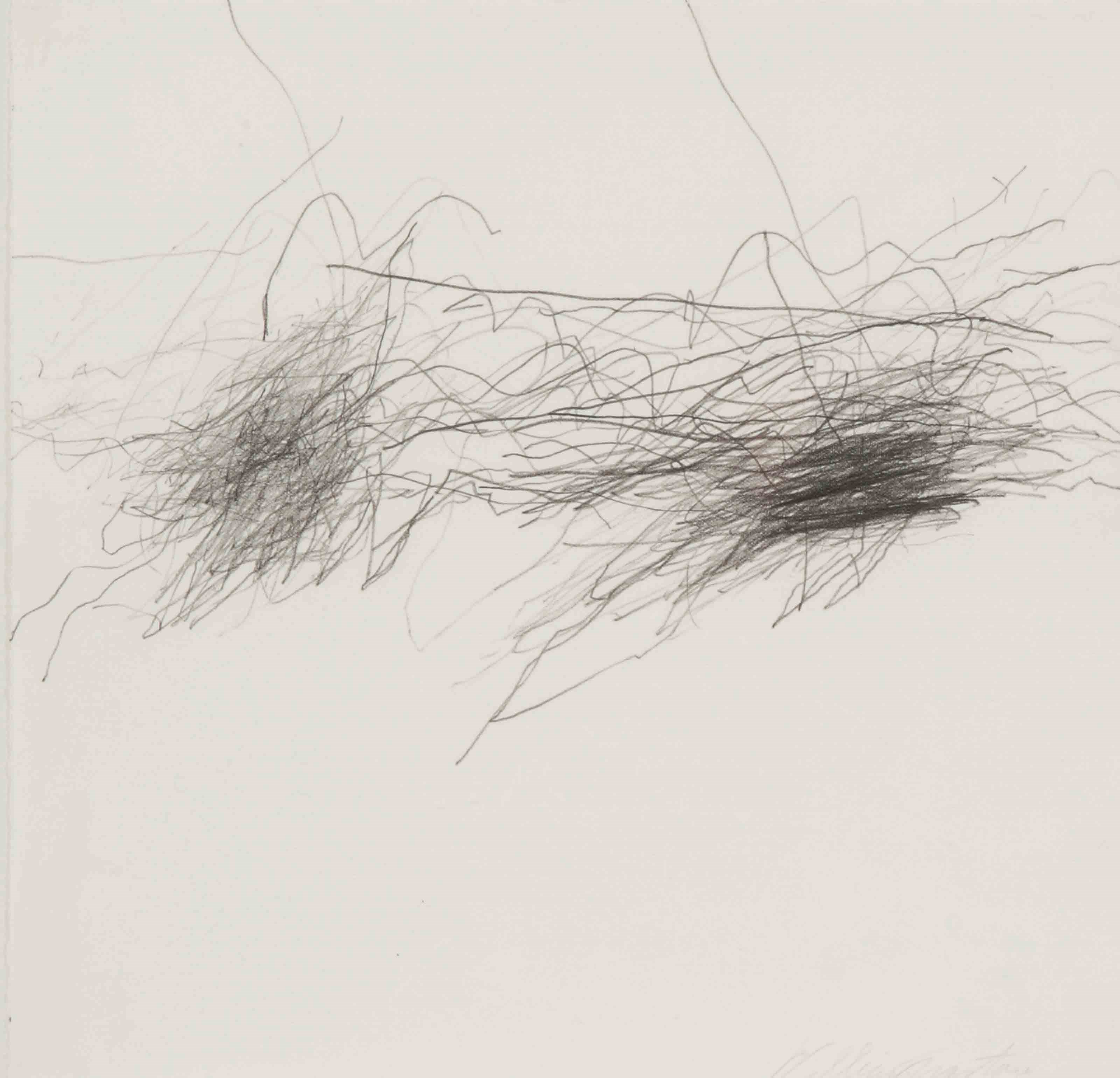 William Anastasi (b. 1933)