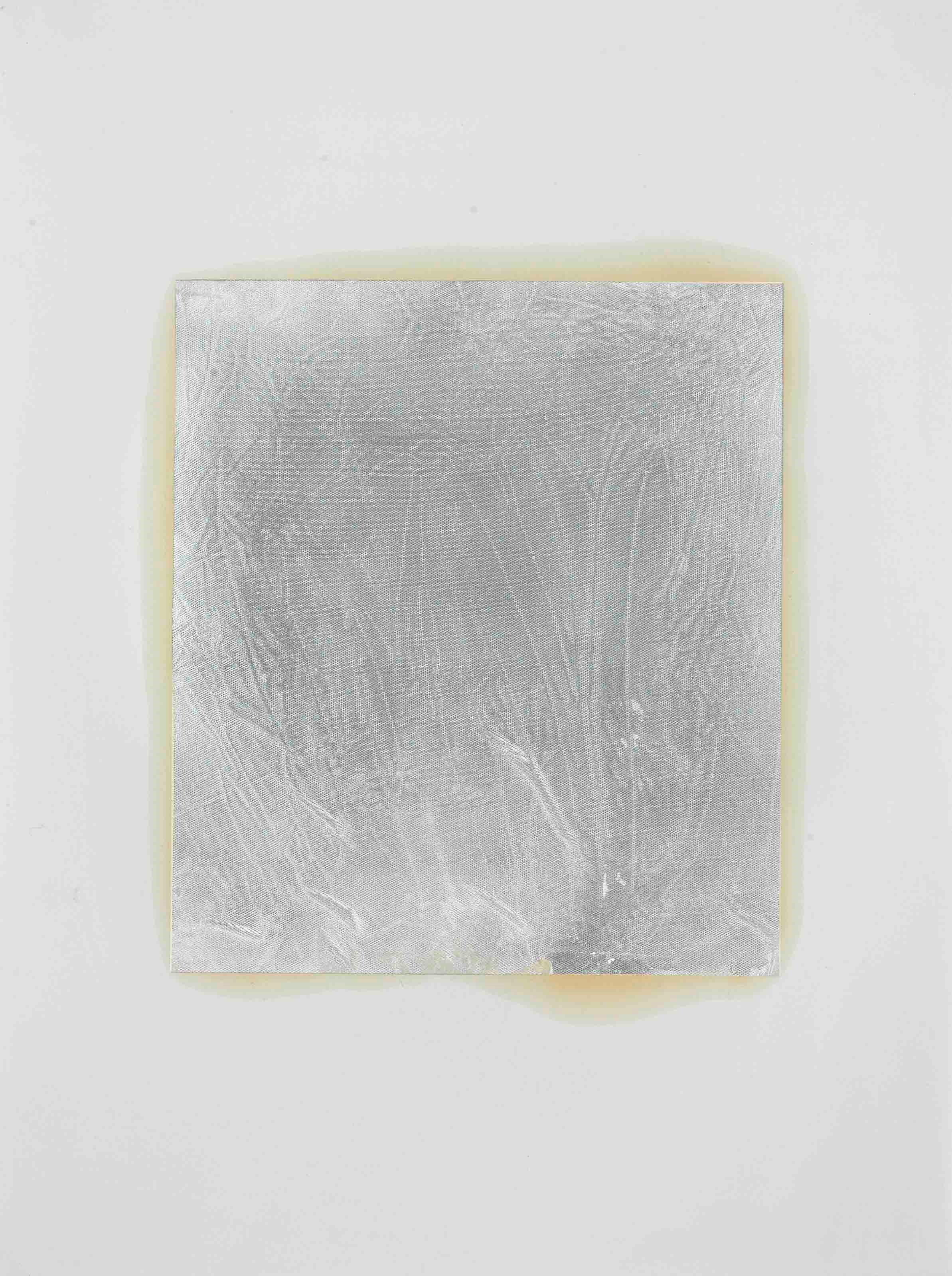 Rudolf Stingel (b. 1956)