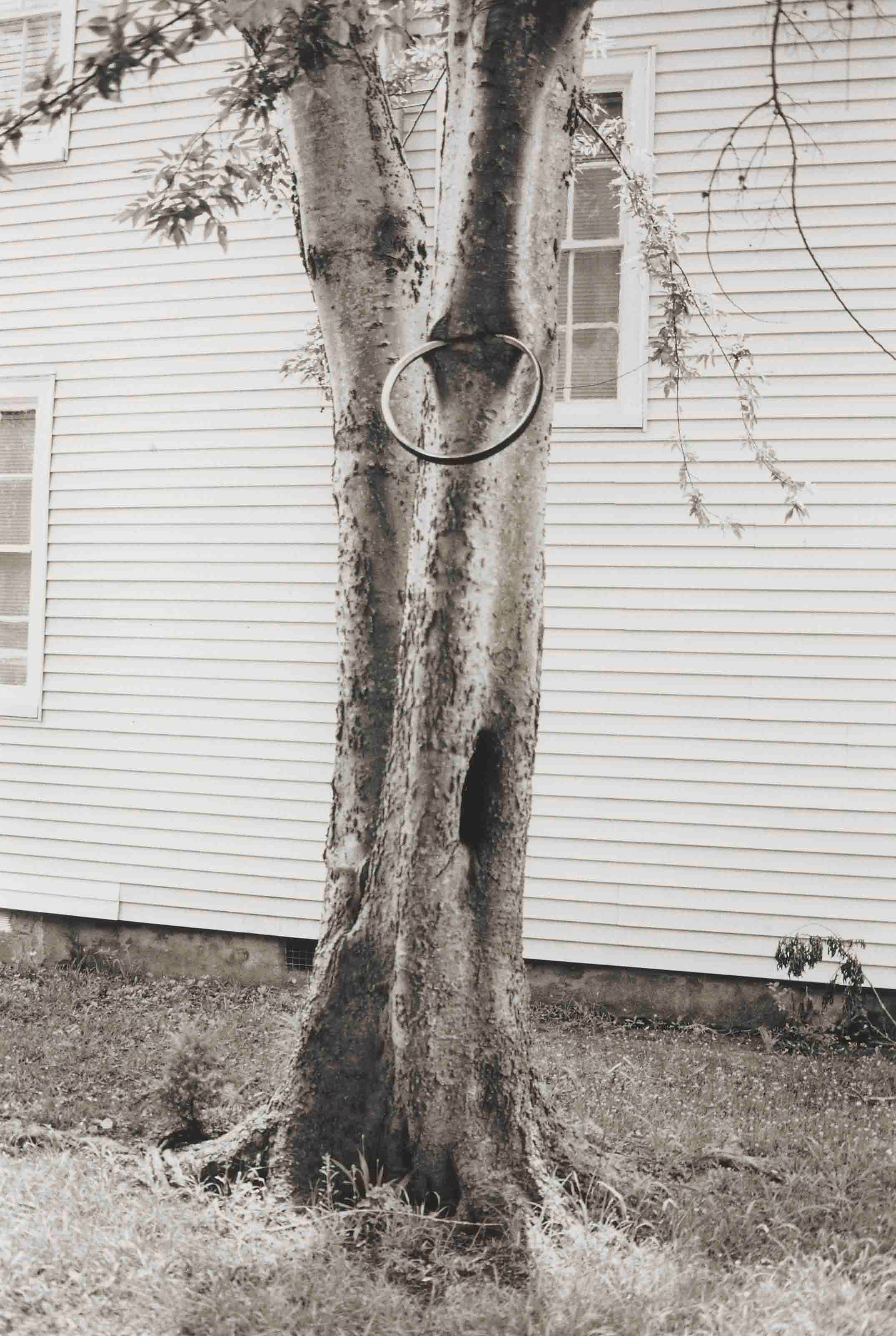 David Hammons (b. 1943)