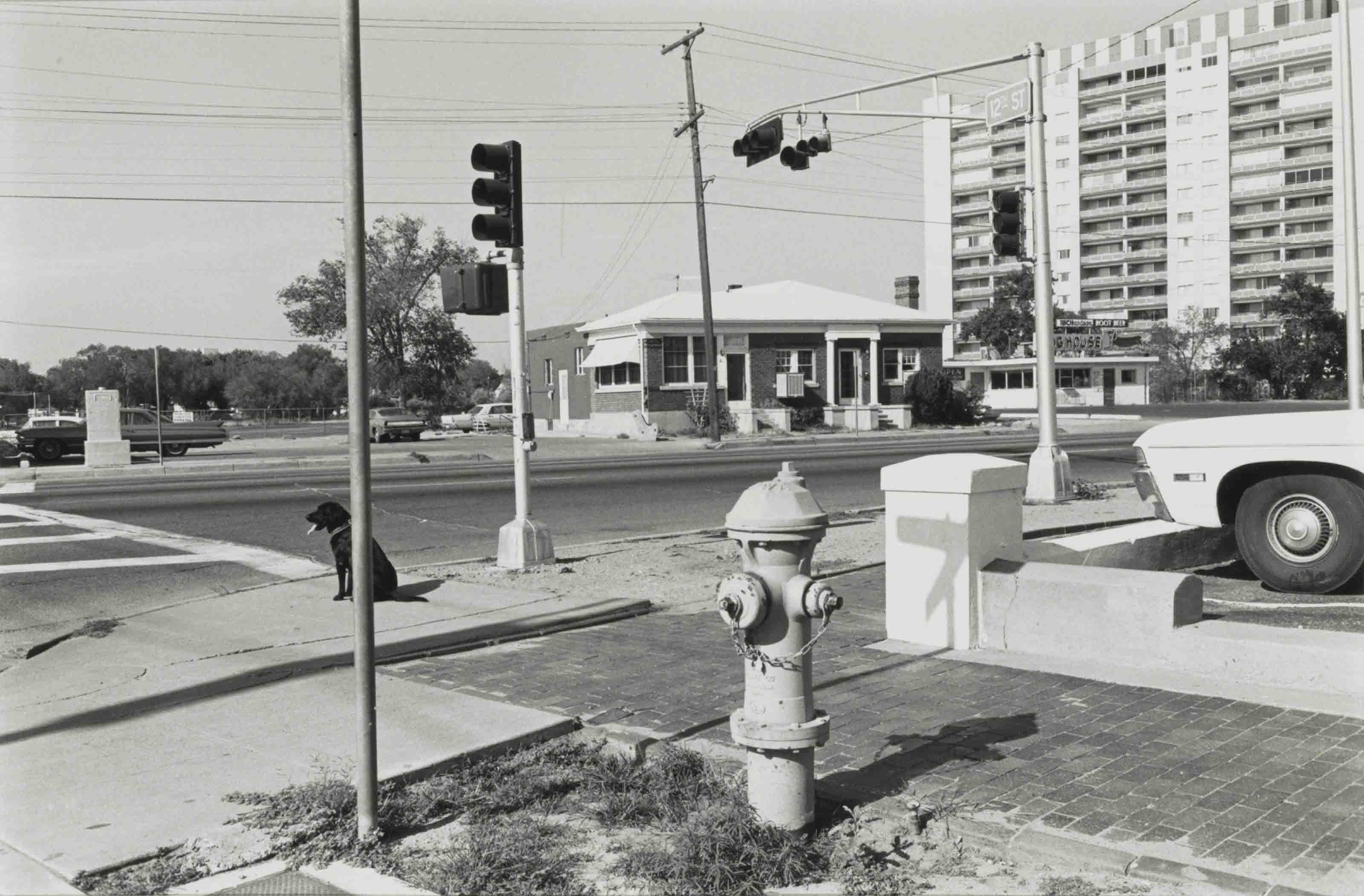 LEE FRIEDLANDER (B. 1934)