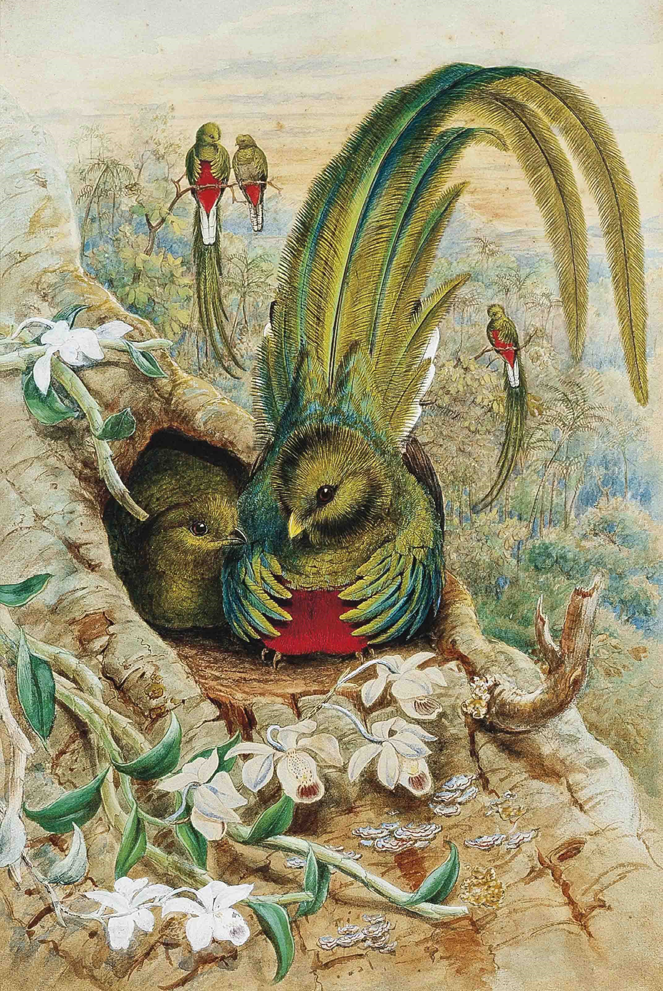 William Matthew Hart (1830-1908)