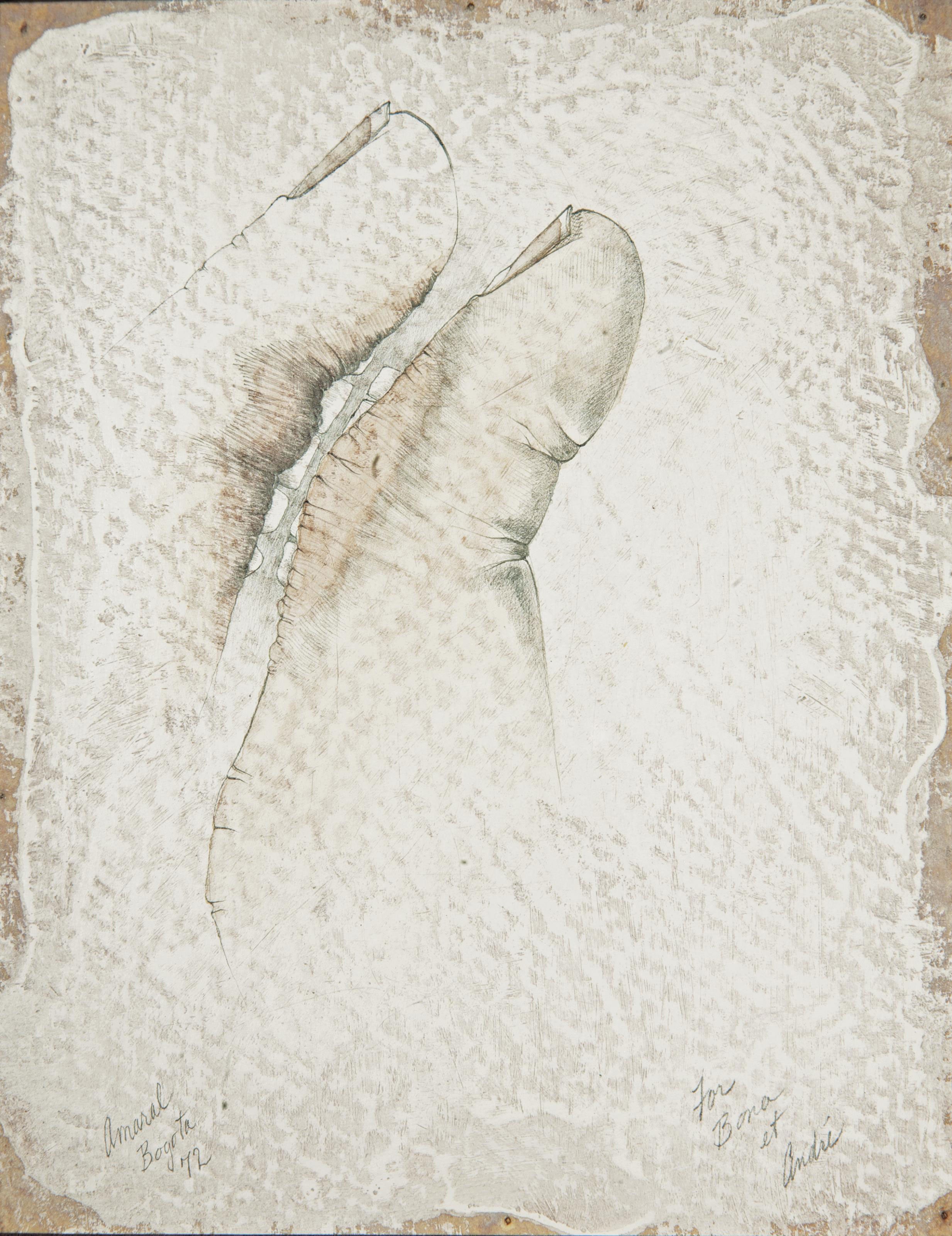 JIM AMARAL (NE EN 1933)