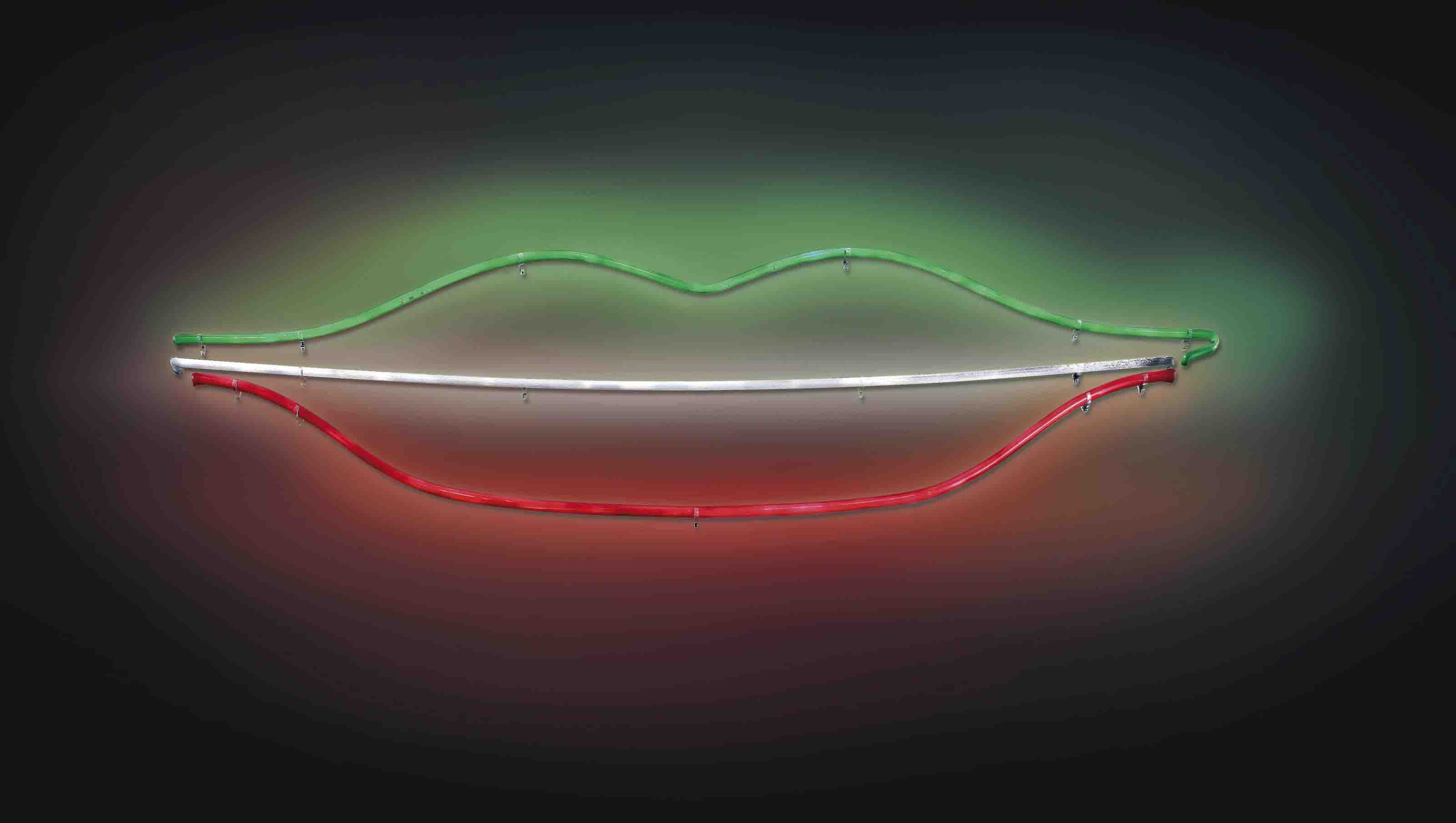 Saeed Farahani (Iranian, b. 1980)