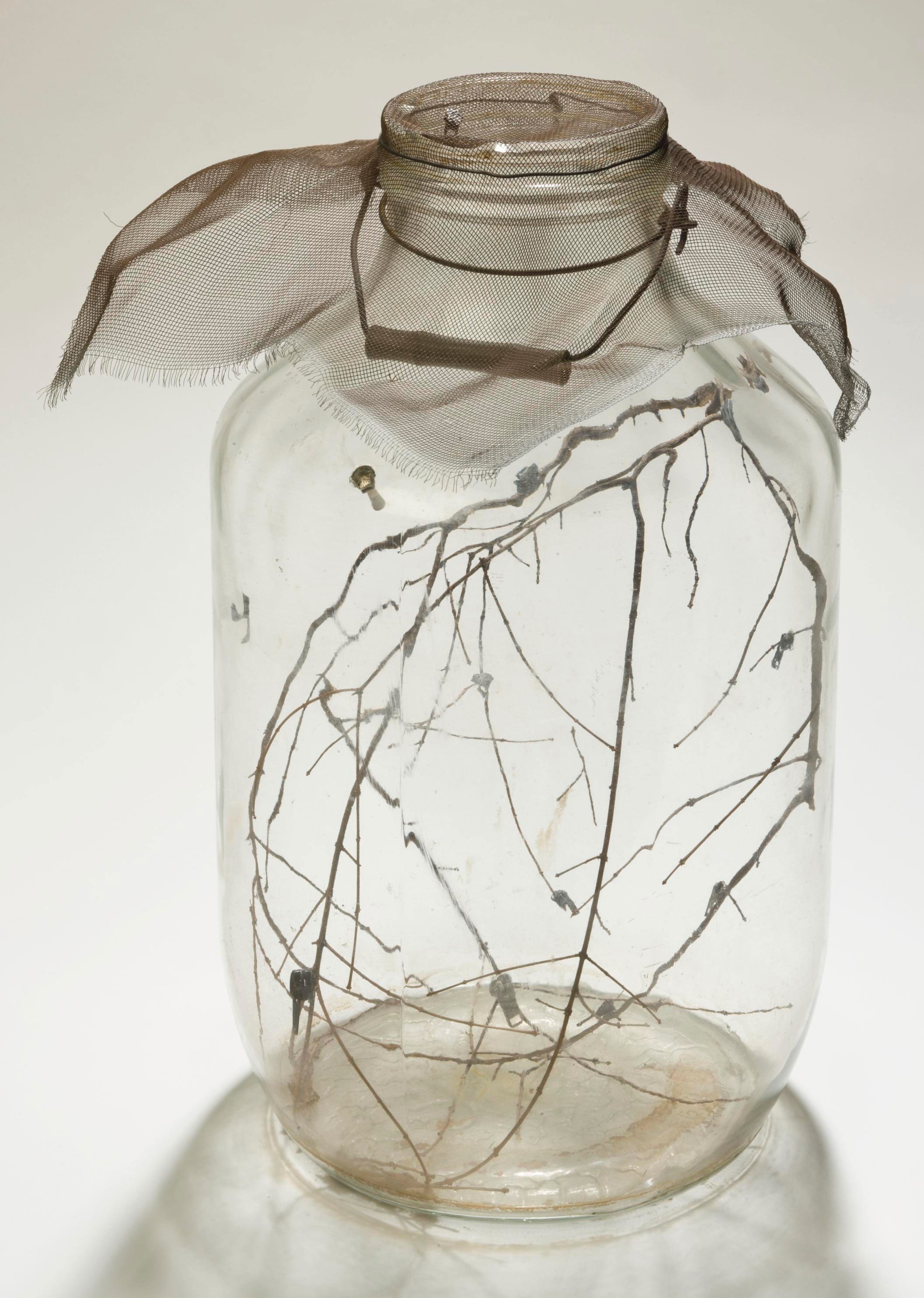David Hammons (b. 1943)
