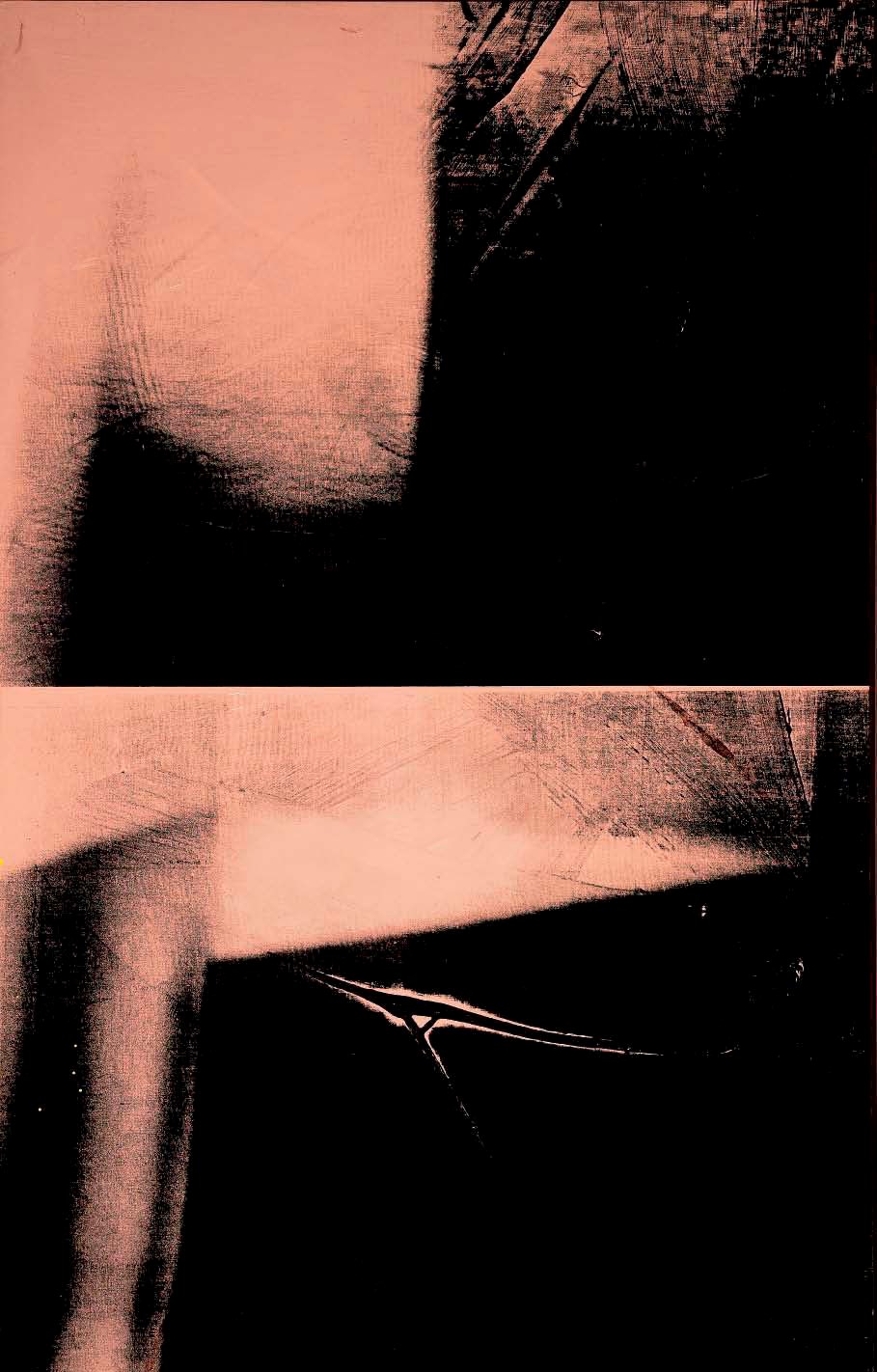 Andy Warhol (1928-1987)