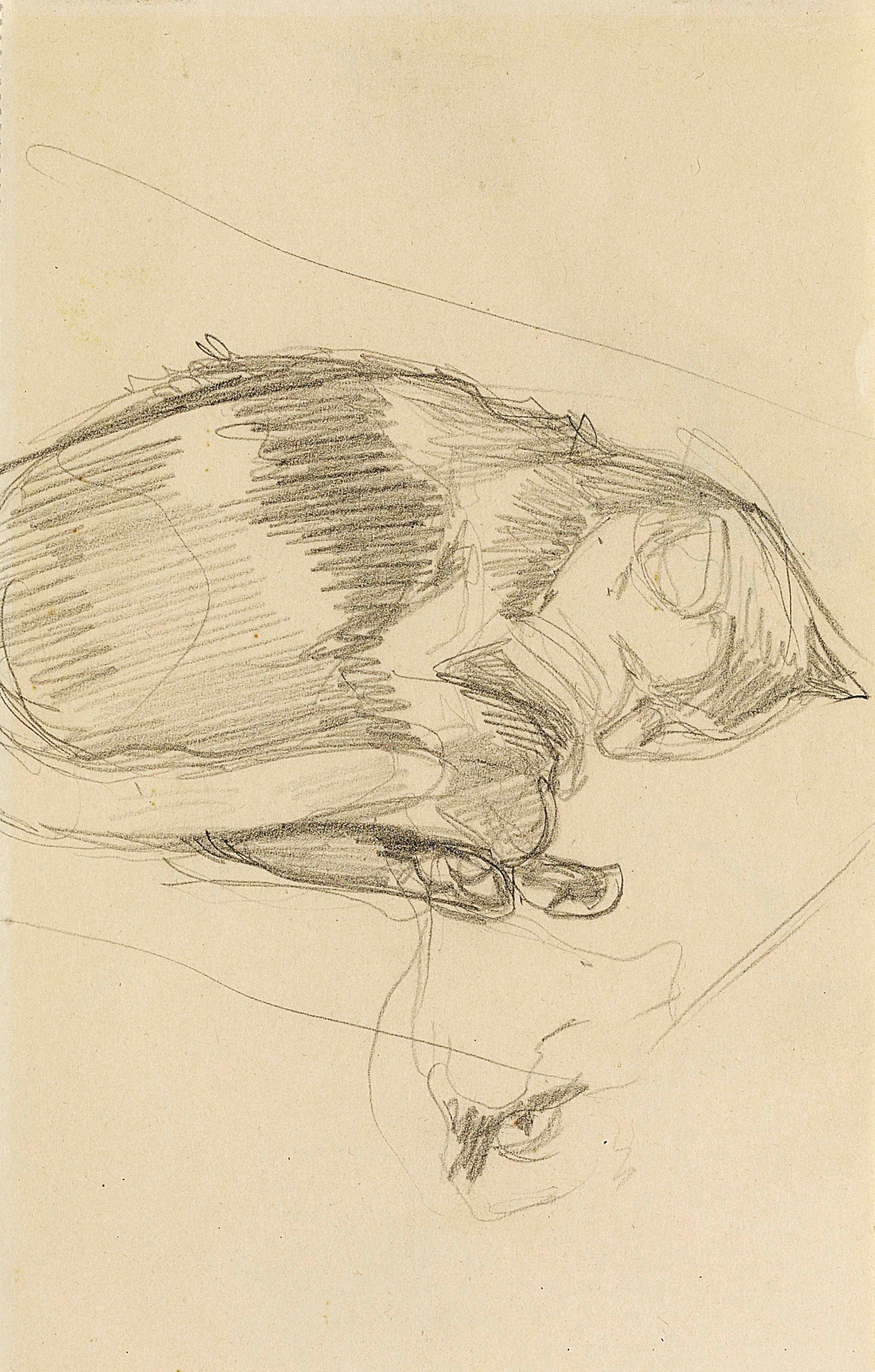 ERNEST BIÉLER (1863-1948)