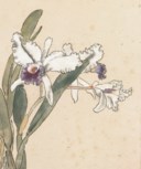XU BEIHONG (1895-1953)