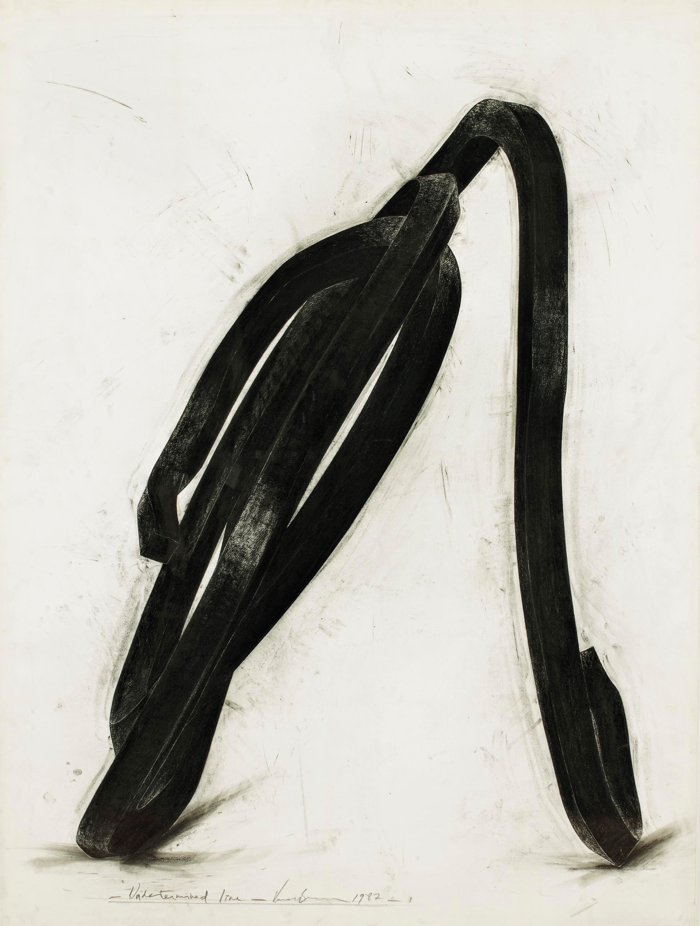 BERNAR VENET (NÉ EN 1941)