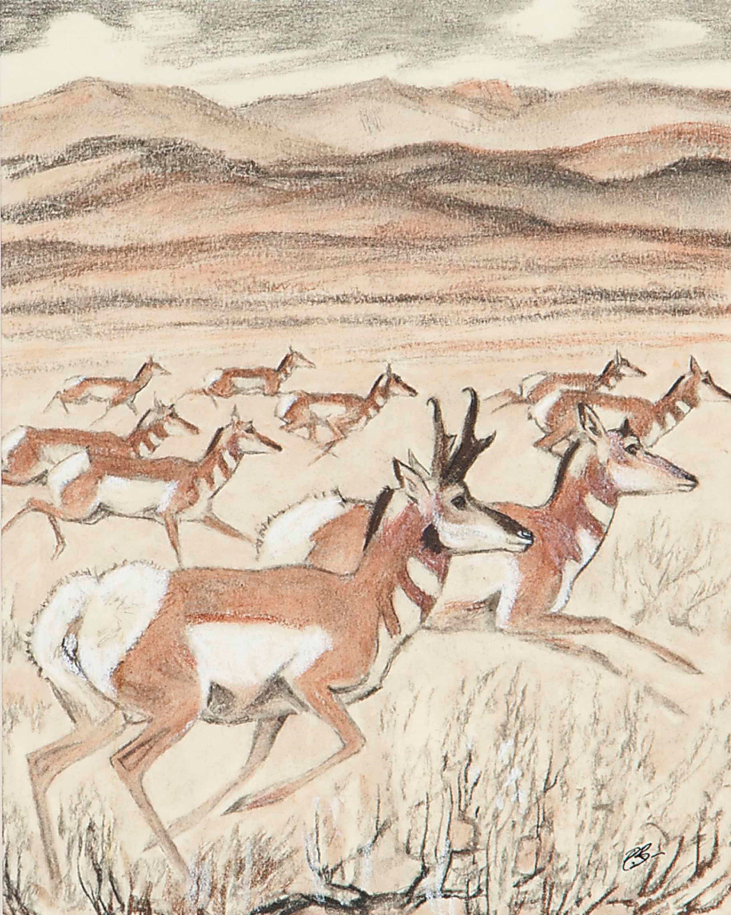 Paul Bransom (American, 1885-1979)
