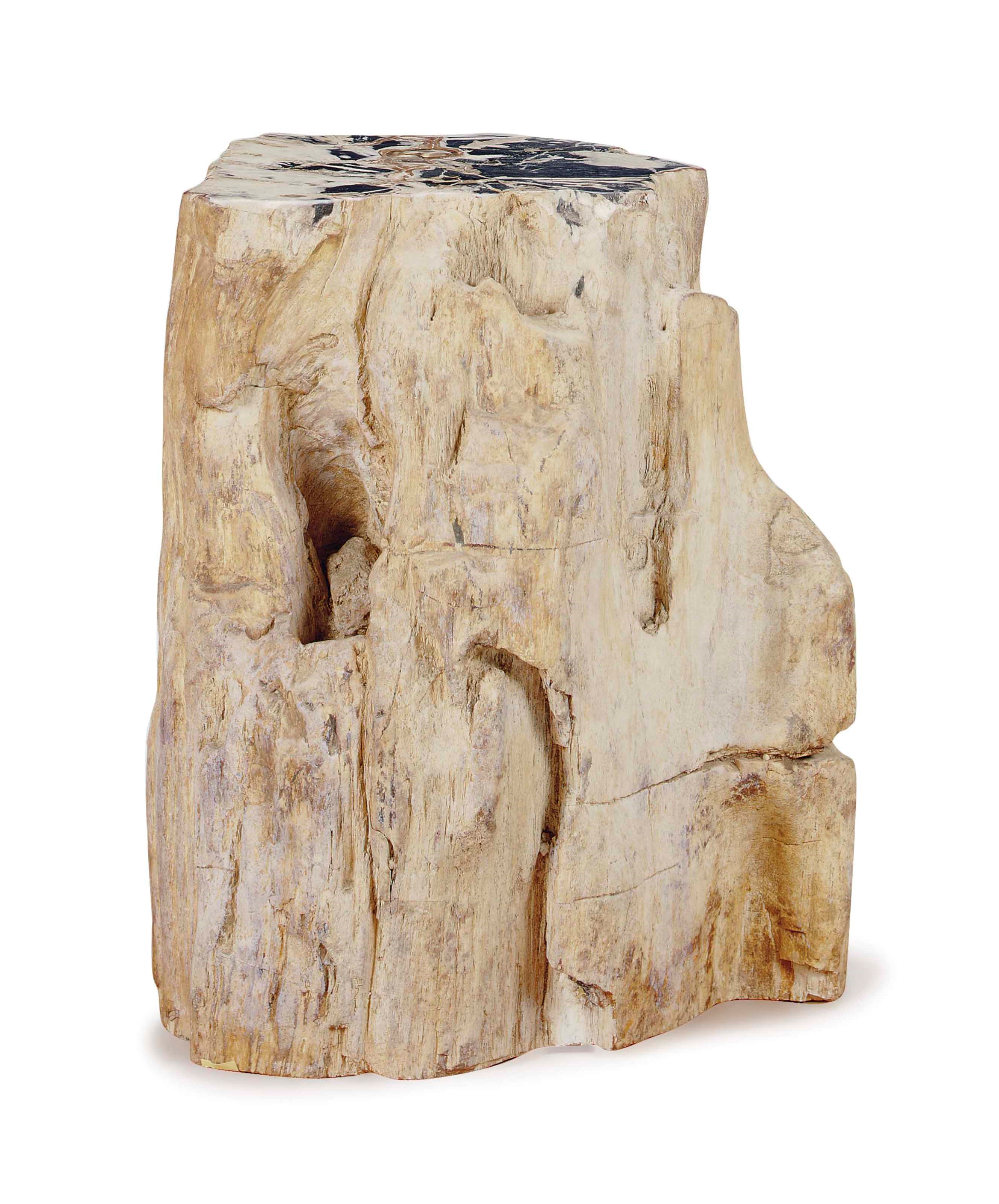 A PETRIFIED WOOD STUMP